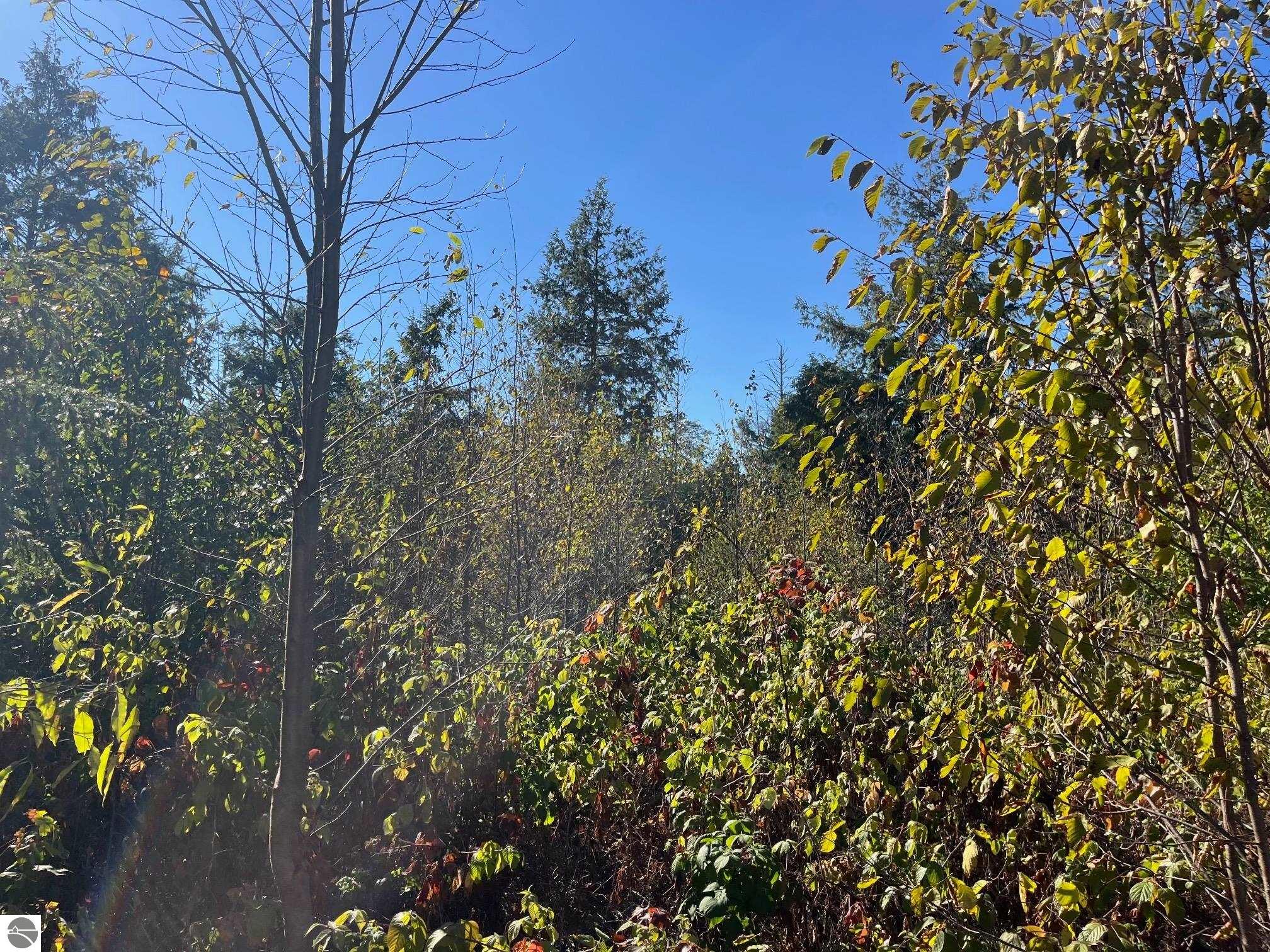 Image of property