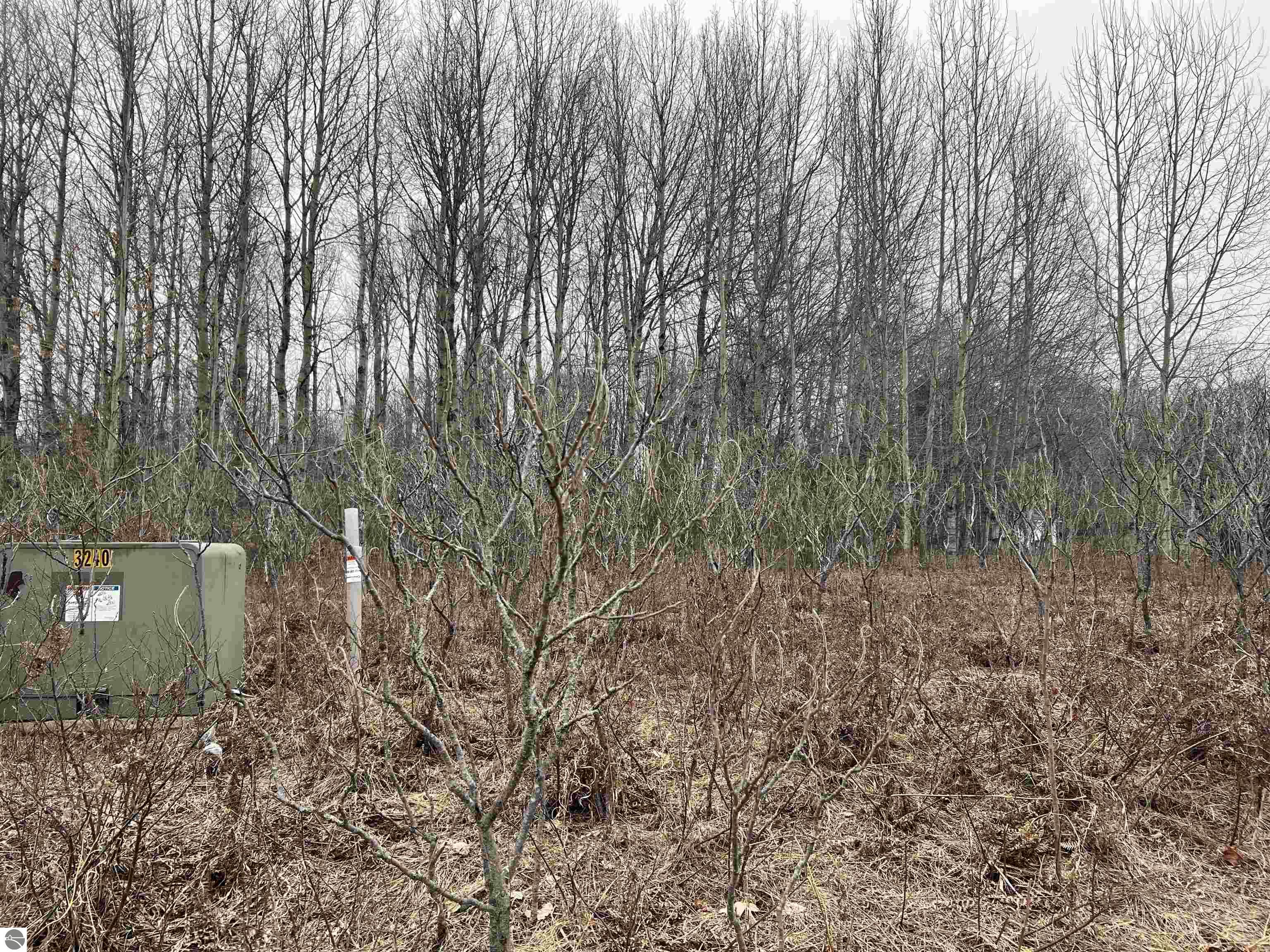 Image of property