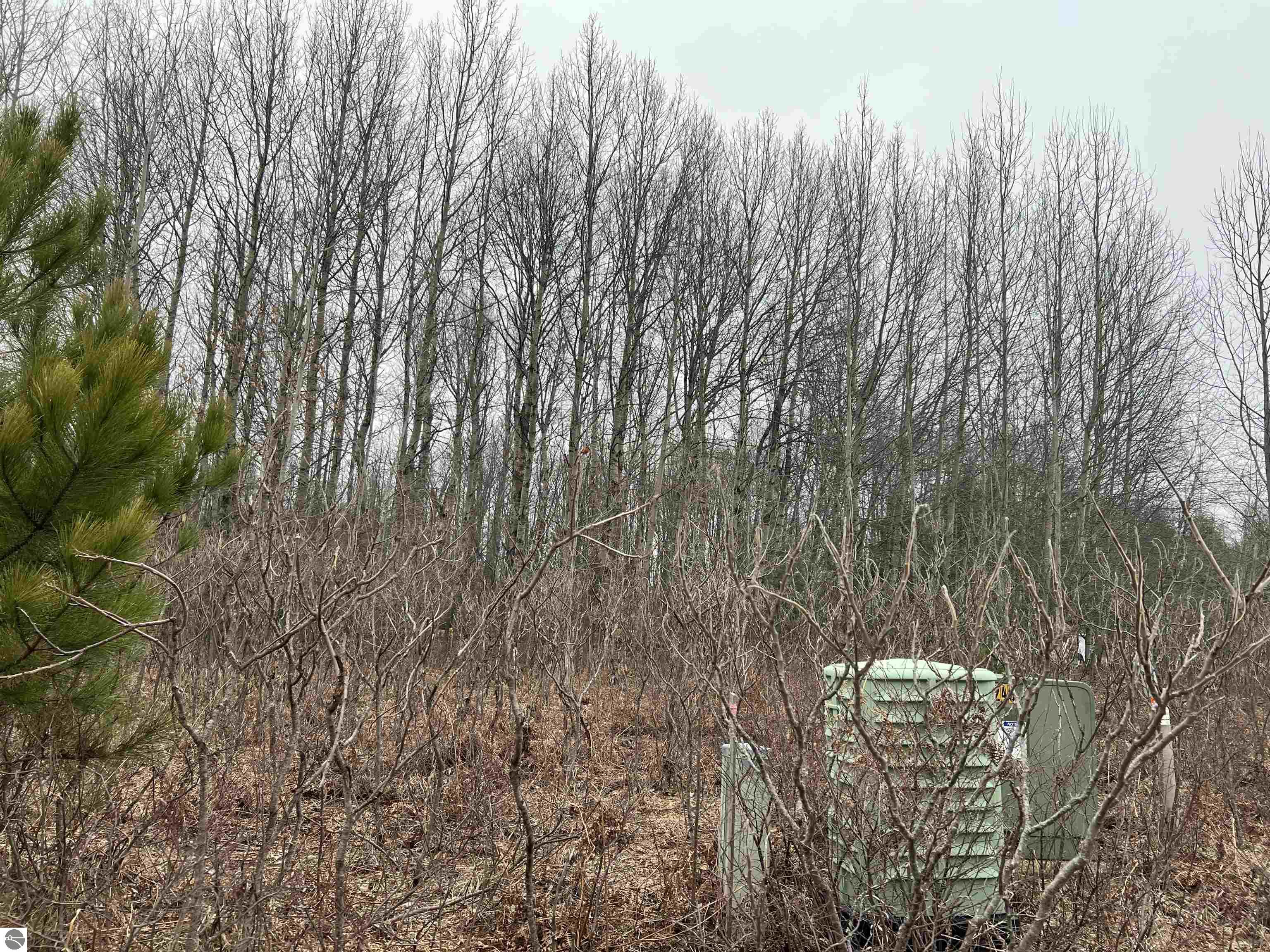 Image of property