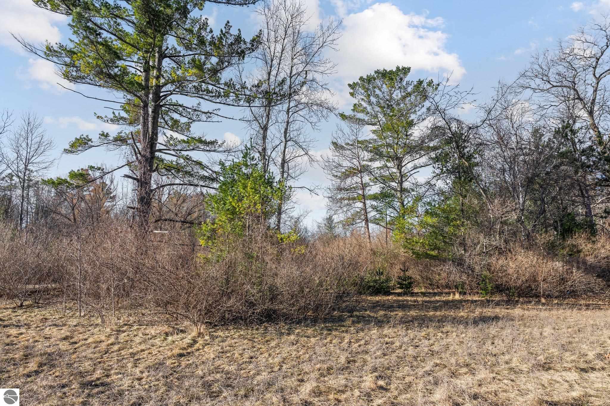 Image of property