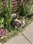 Photo 30 for MLS 1932193