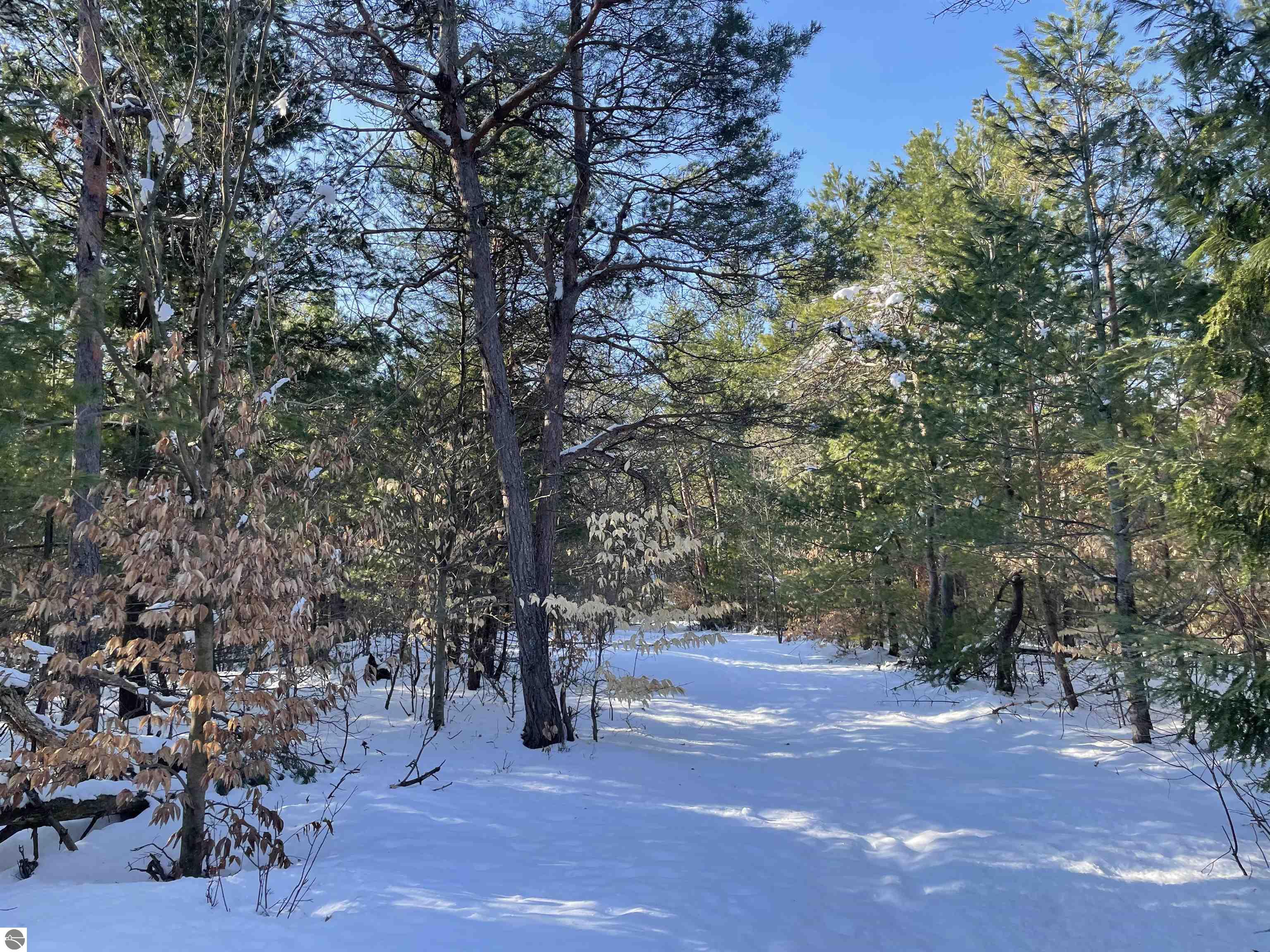 Image of property