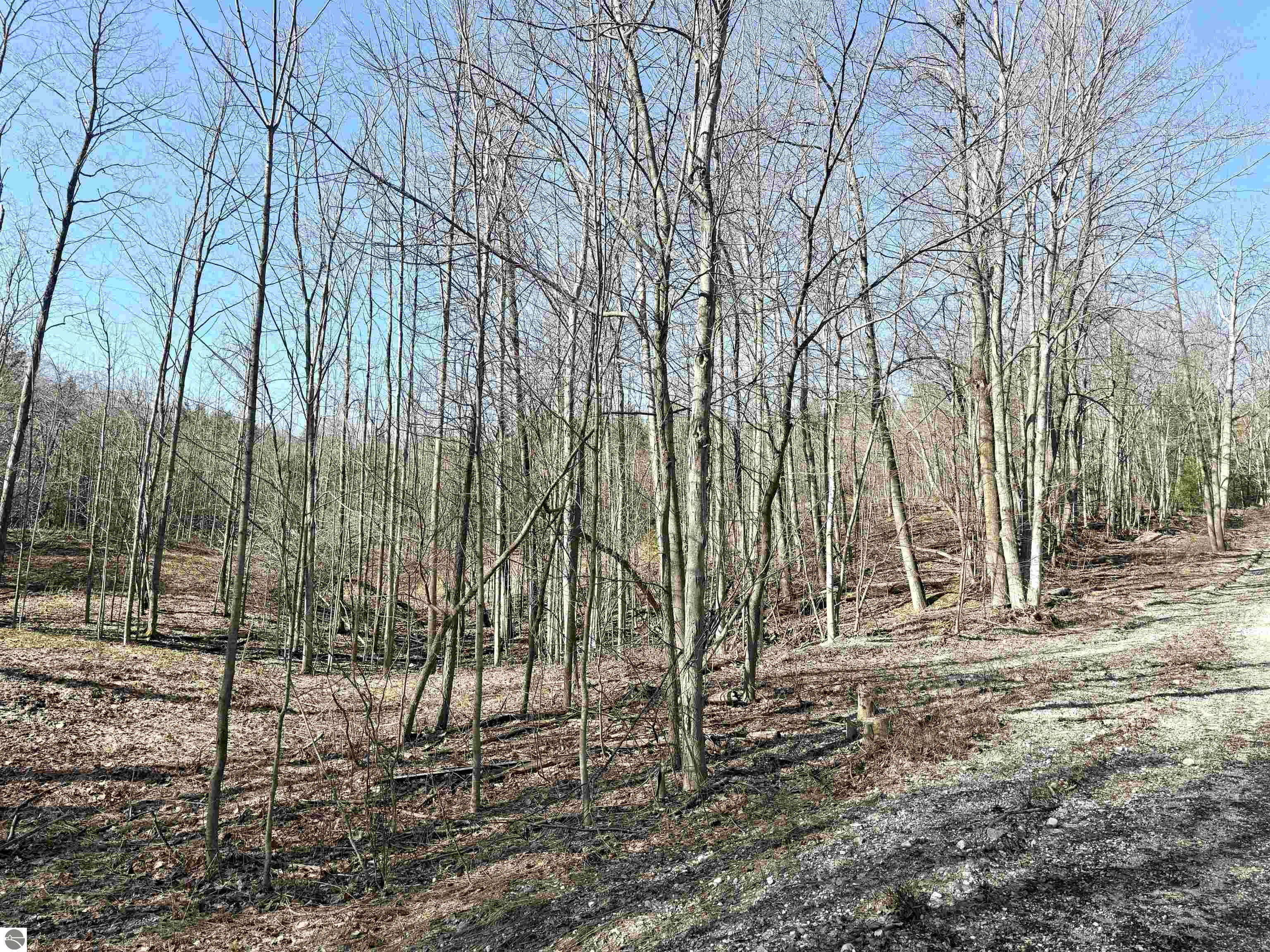 Image of property
