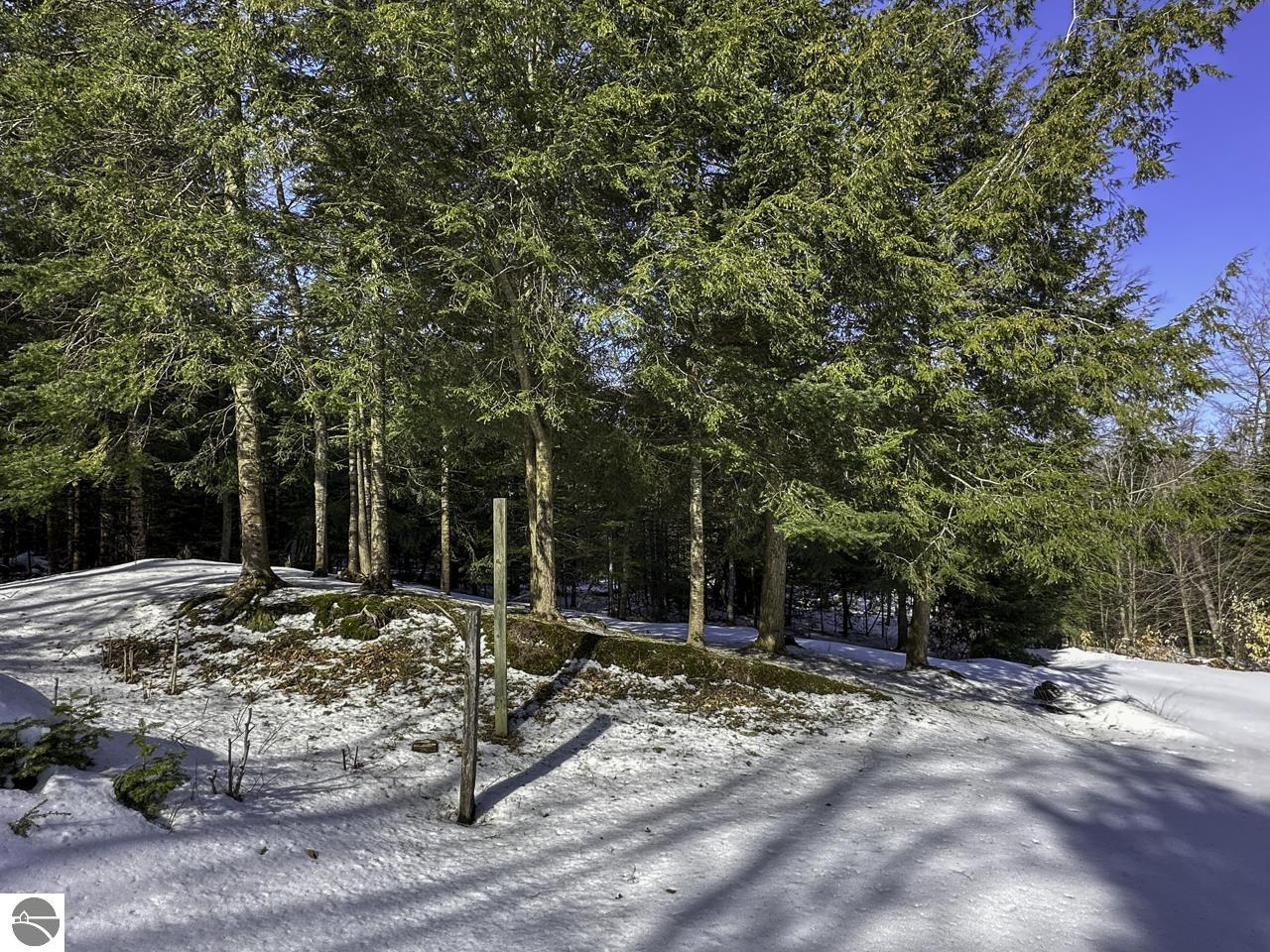 28280 Timber Valley Court, Beaver Island, MI 49782 — Photo 52