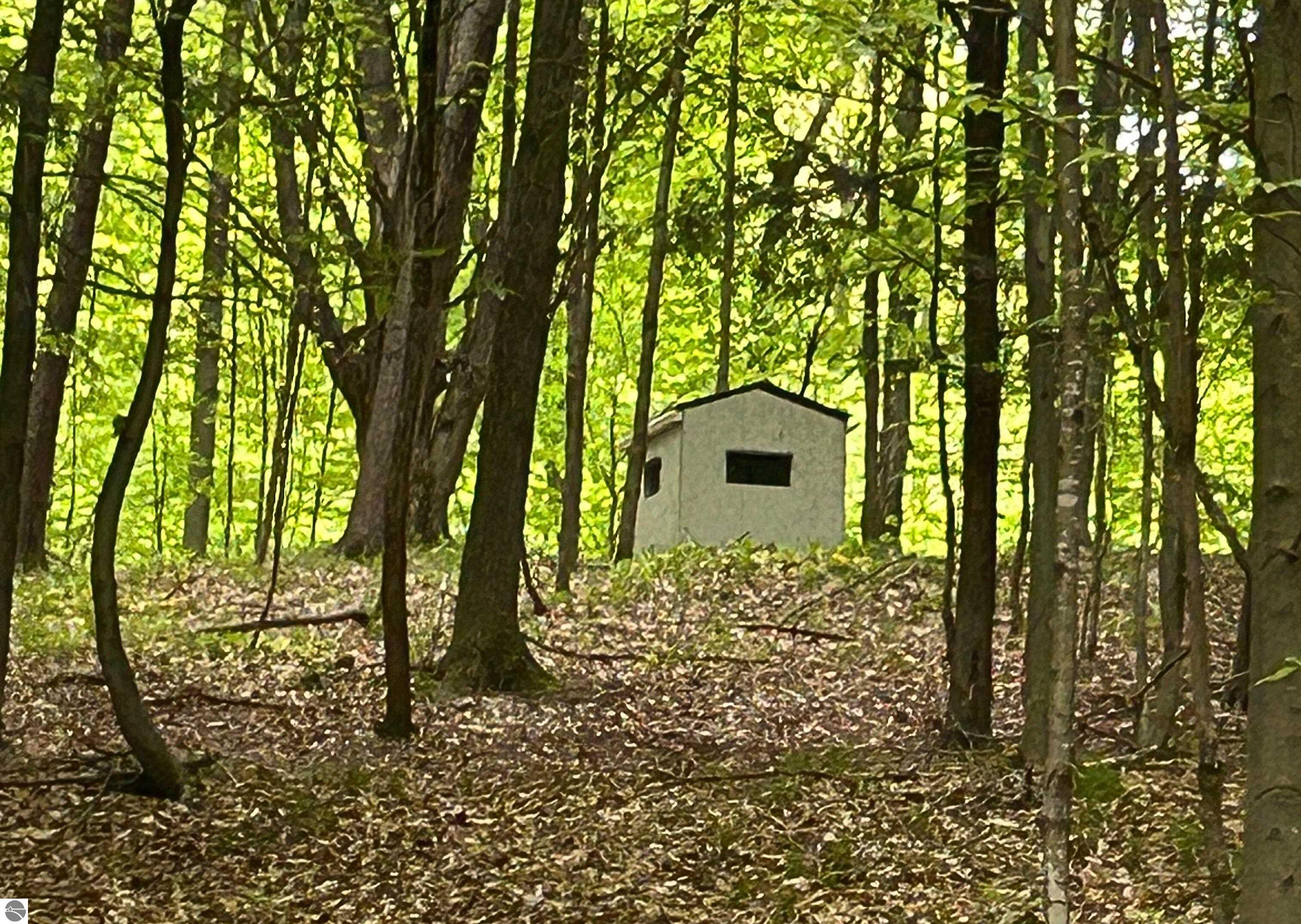Click to enlarge photo