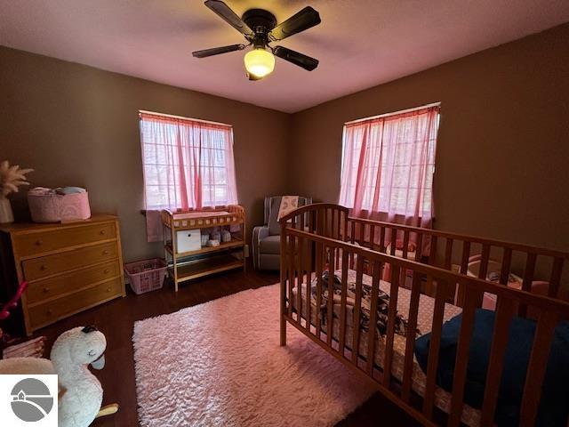 403 E Calhoun, Mancelona, MI 49659 — Photo 12