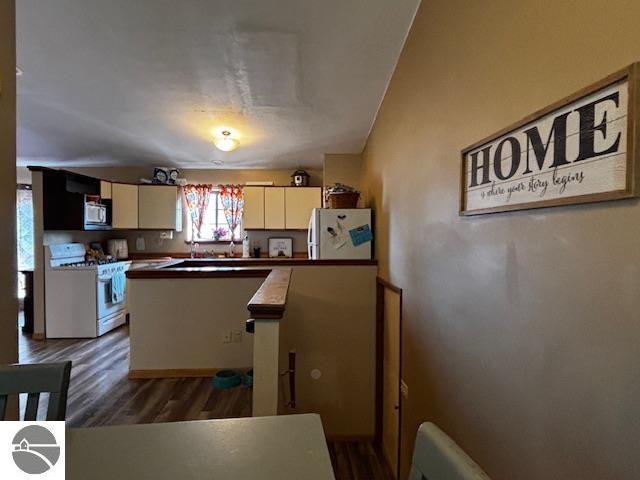403 E Calhoun, Mancelona, MI 49659 — Photo 7