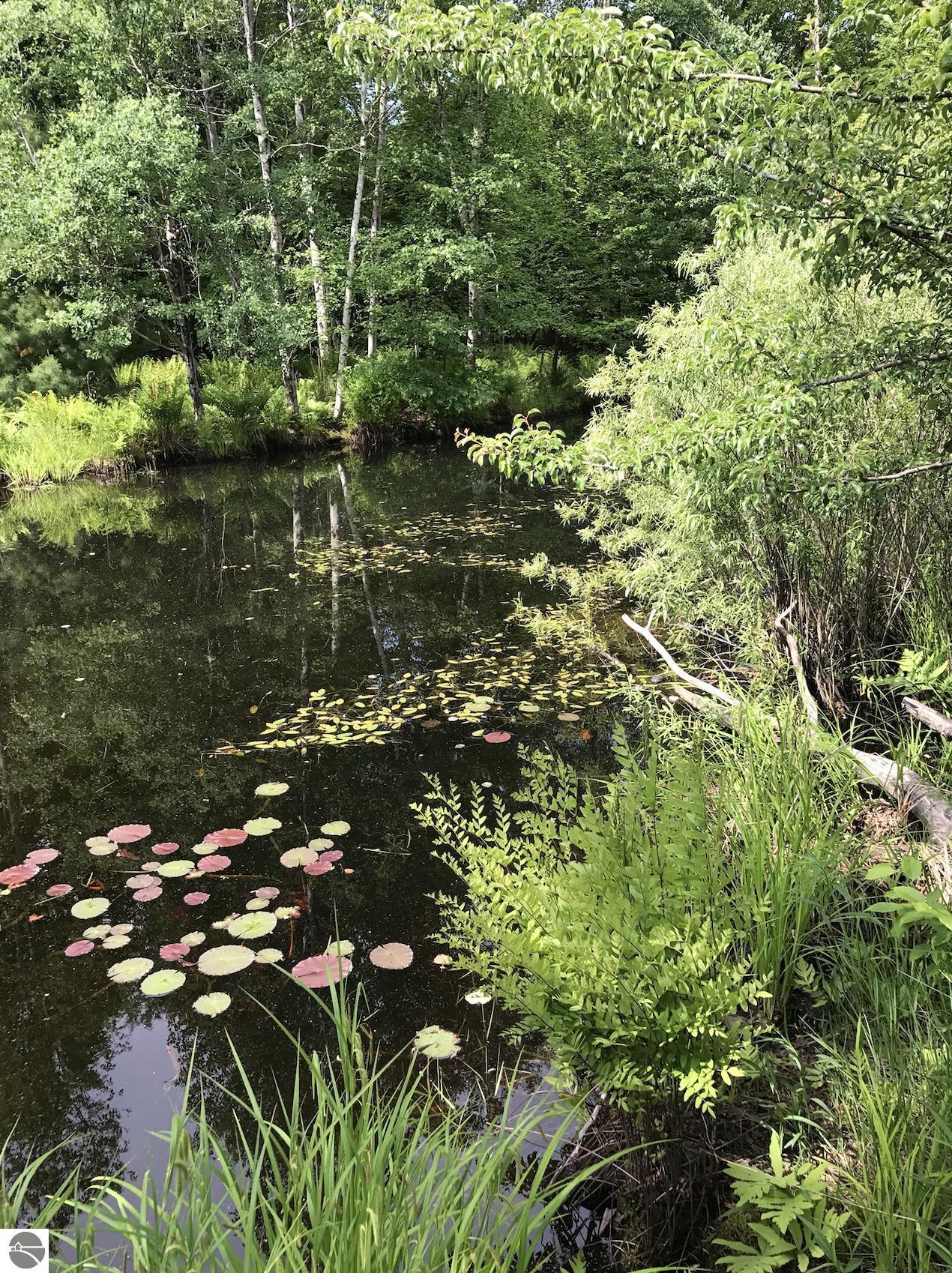 Image of property