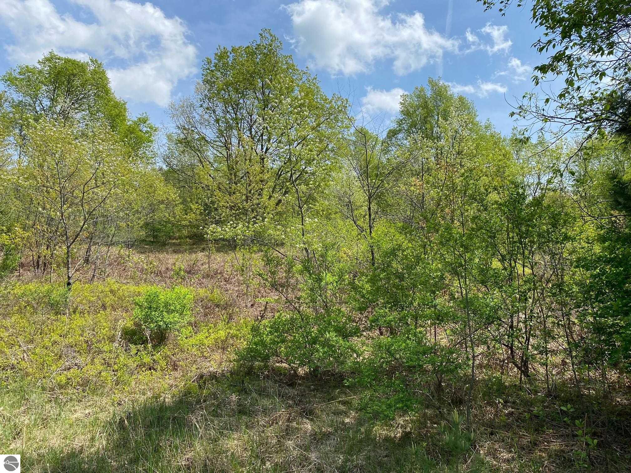 Image of property