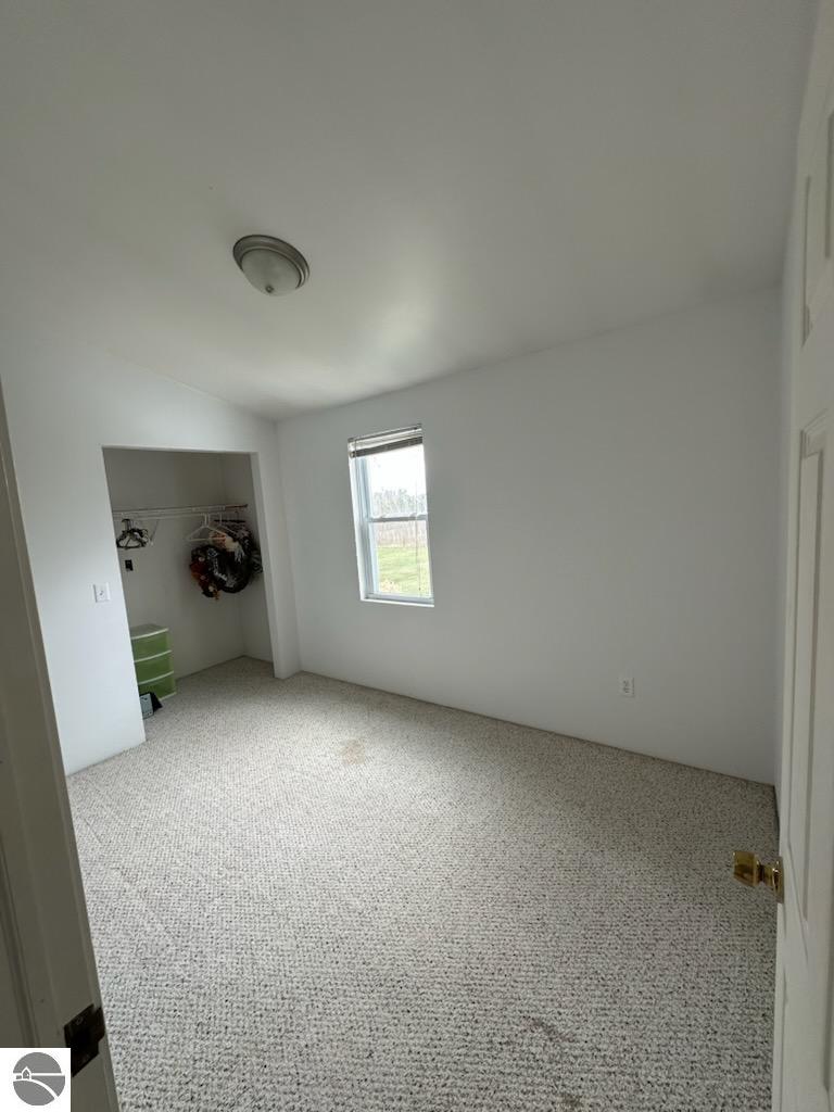 3851 N Mission Road, Rosebush, MI 48878 — Photo 17