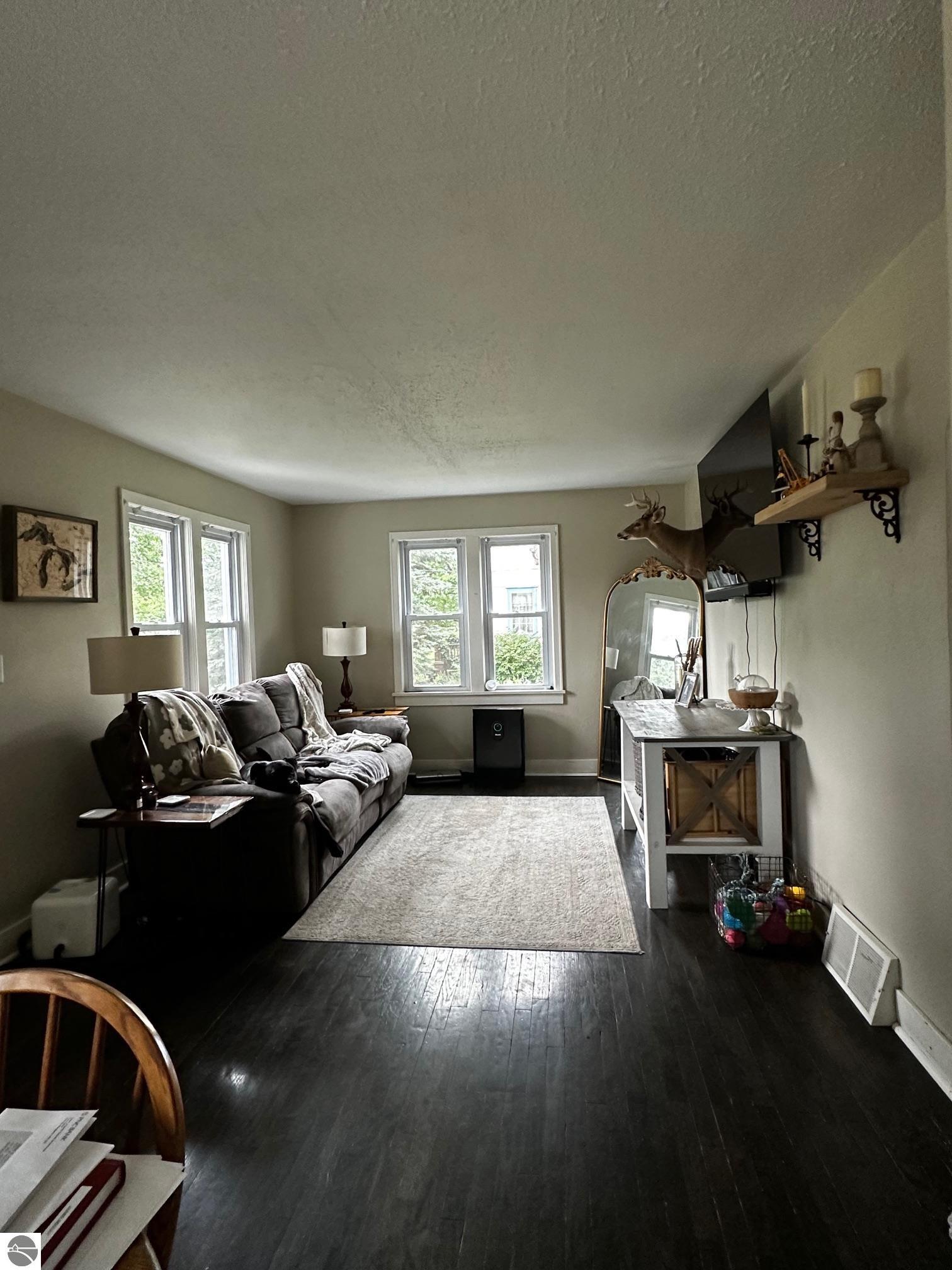 3851 N Mission Road, Rosebush, MI 48878 — Photo 9