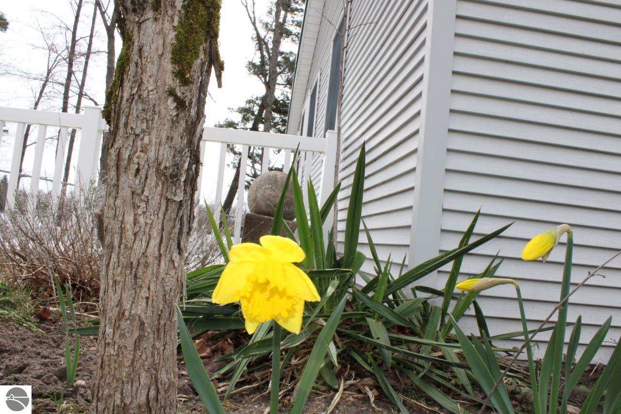 2689 SW Ingersoll Road, Fife Lake, MI 49633 — Photo 25