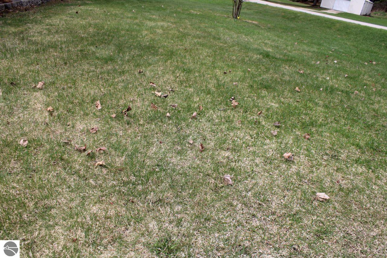 2689 SW Ingersoll Road, Fife Lake, MI 49633 — Photo 6