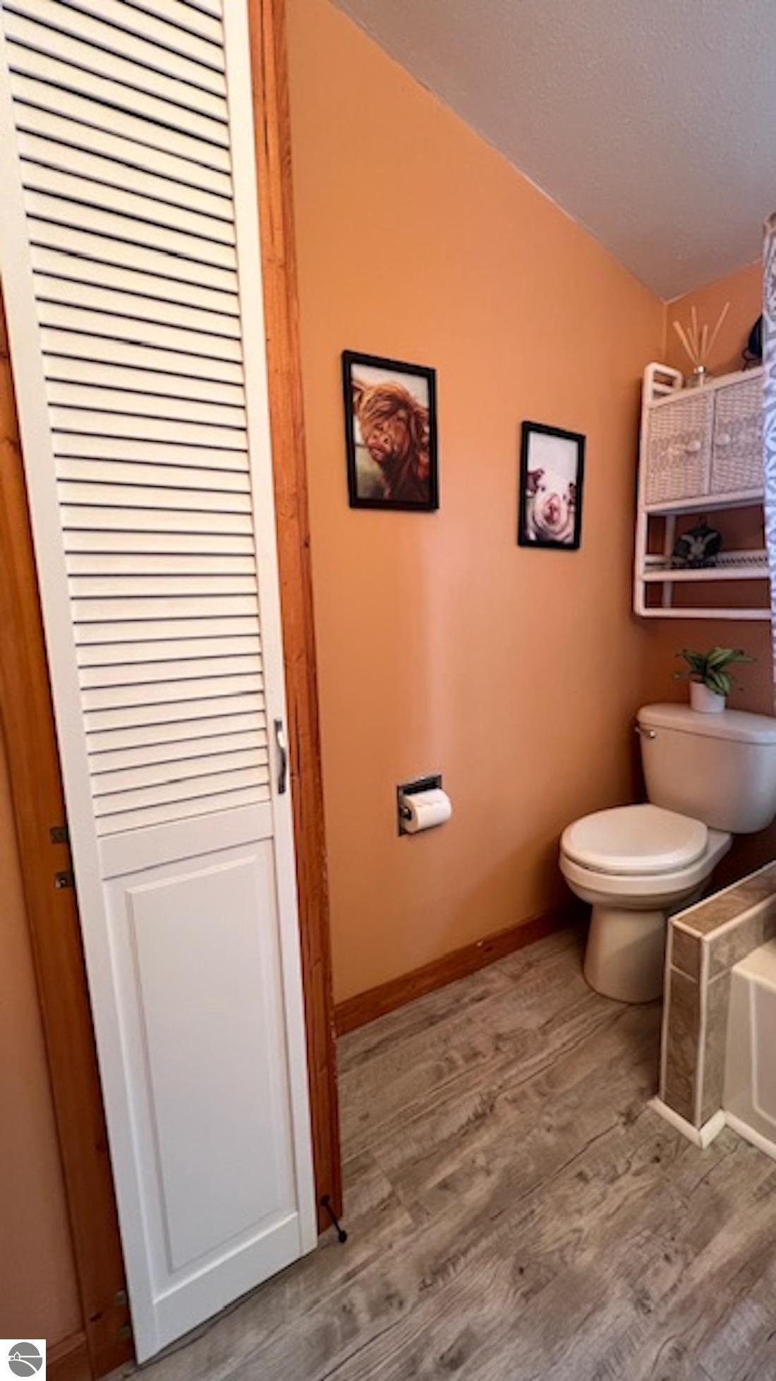 2589 Rushton Road, Central Lake, MI 49622 — Photo 26