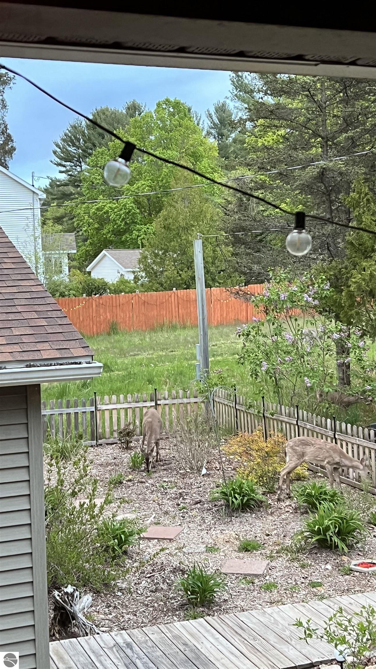2589 Rushton Road, Central Lake, MI 49622 — Photo 55