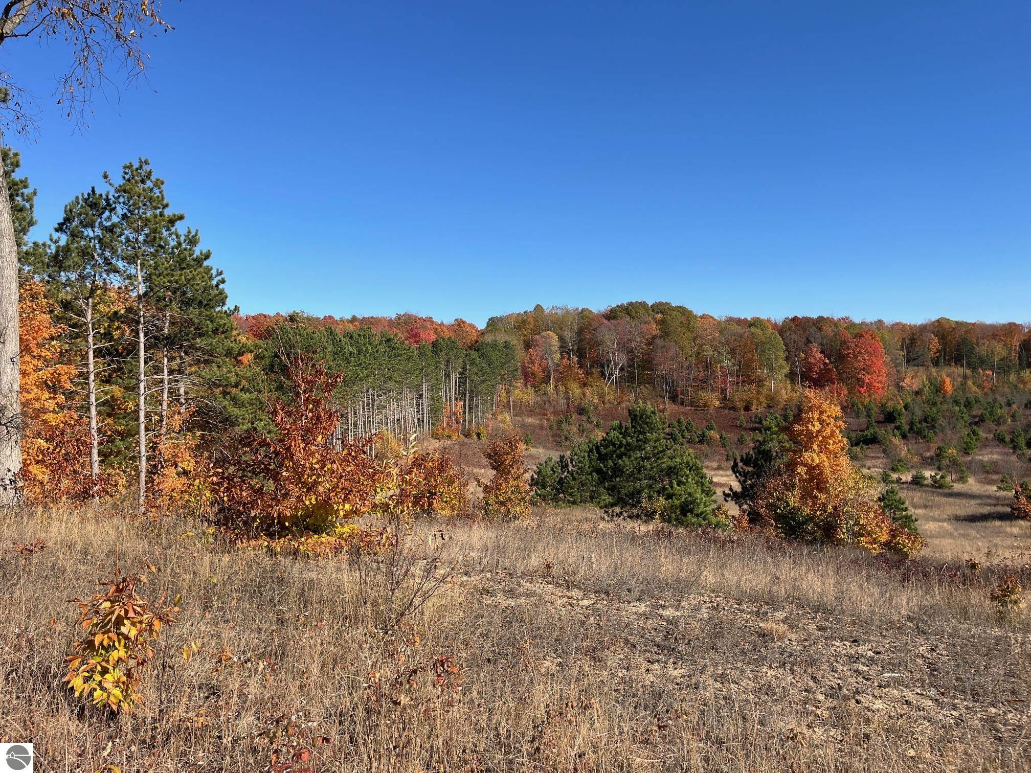 Image of property