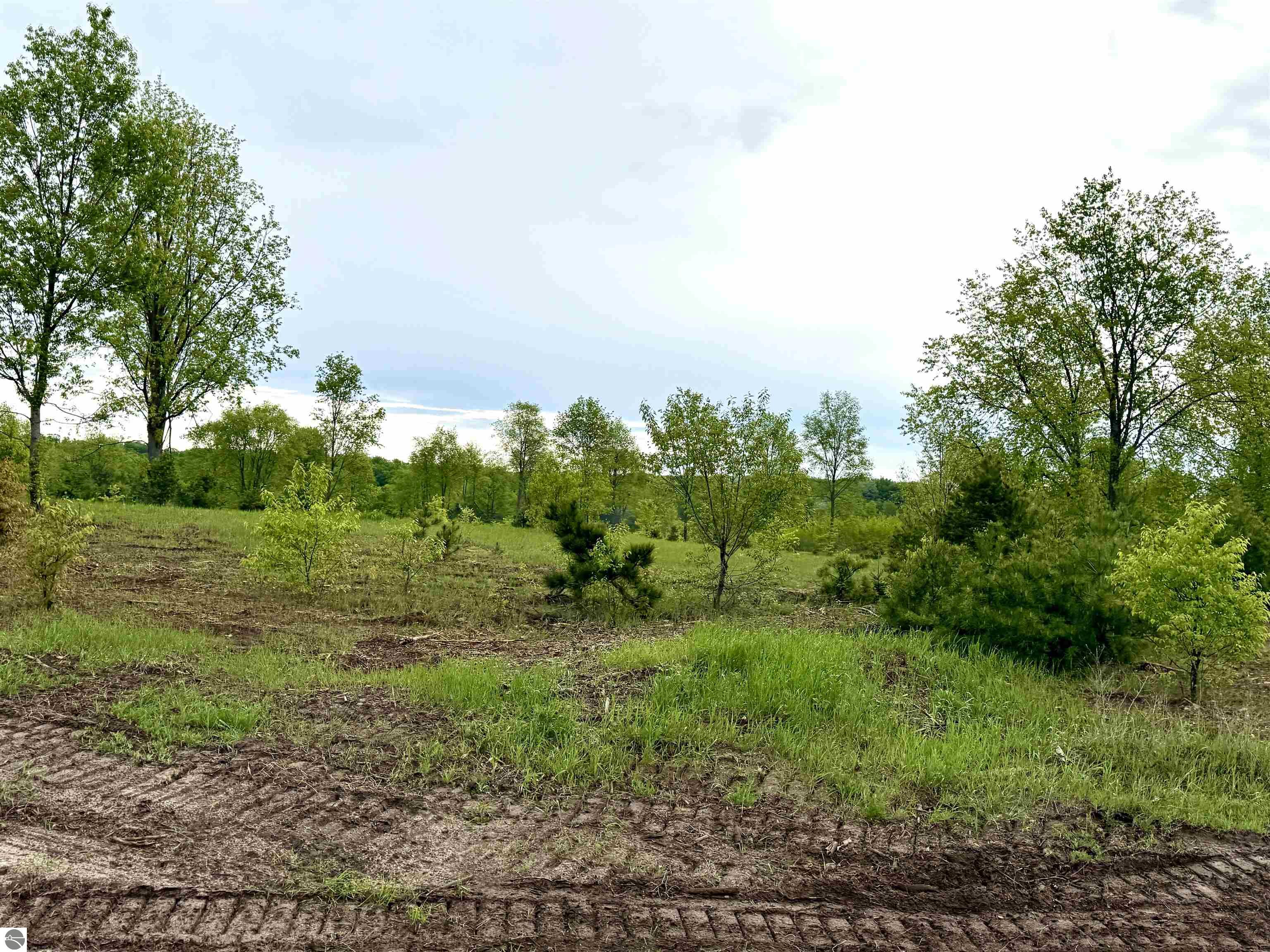 Image of property