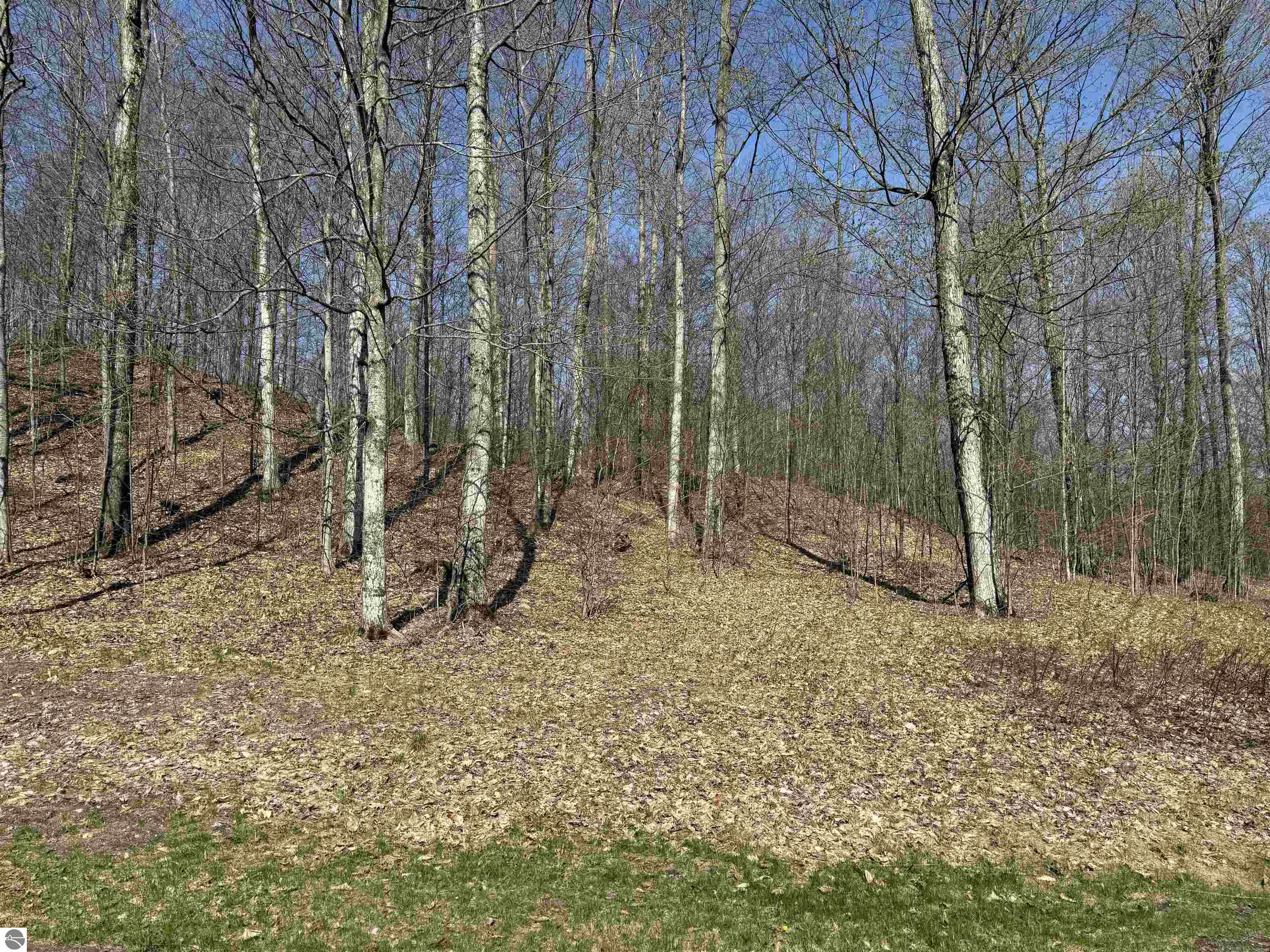 Image of property
