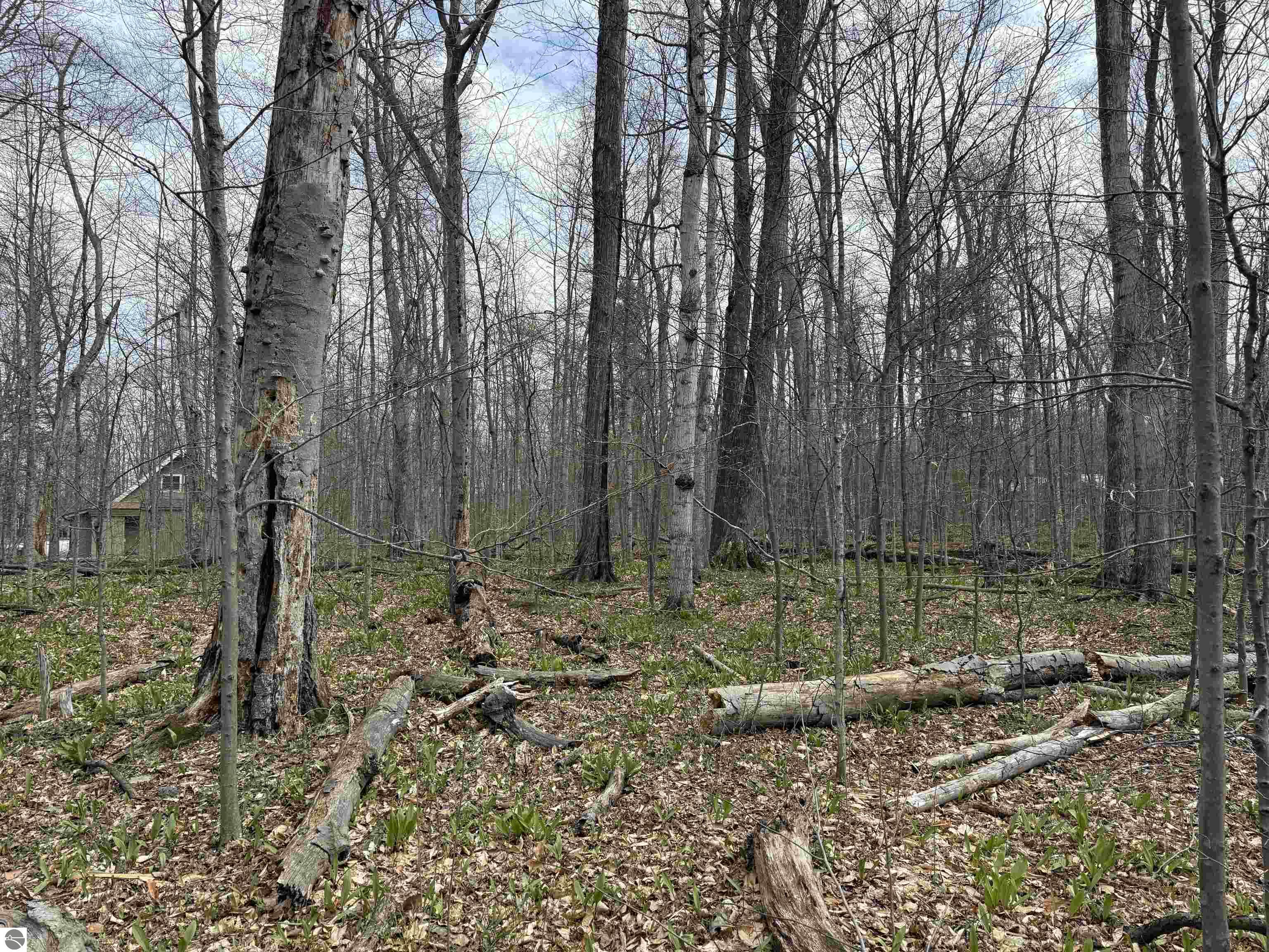 Image of property