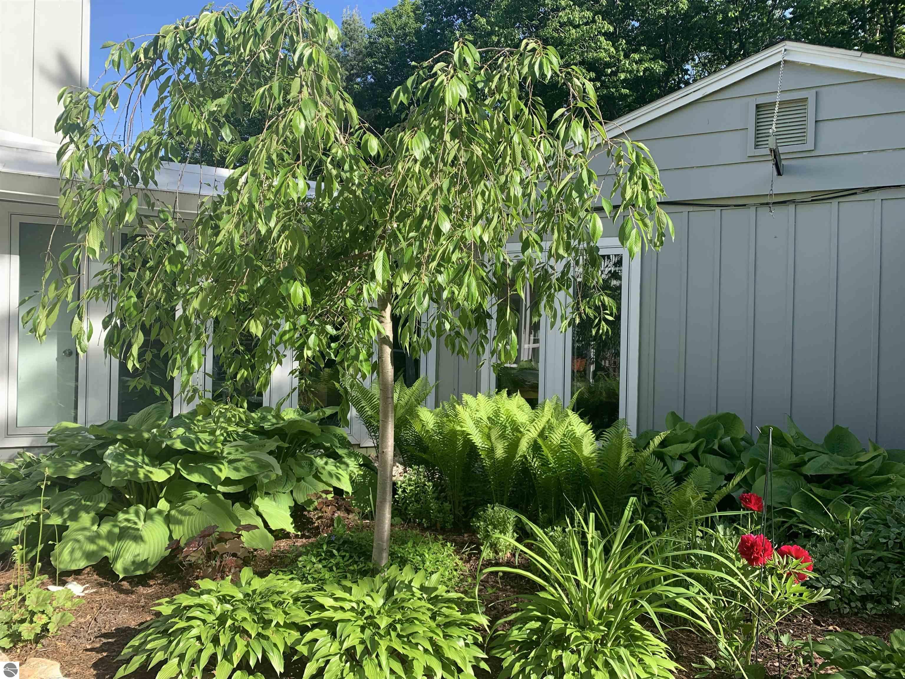 Click to enlarge photo