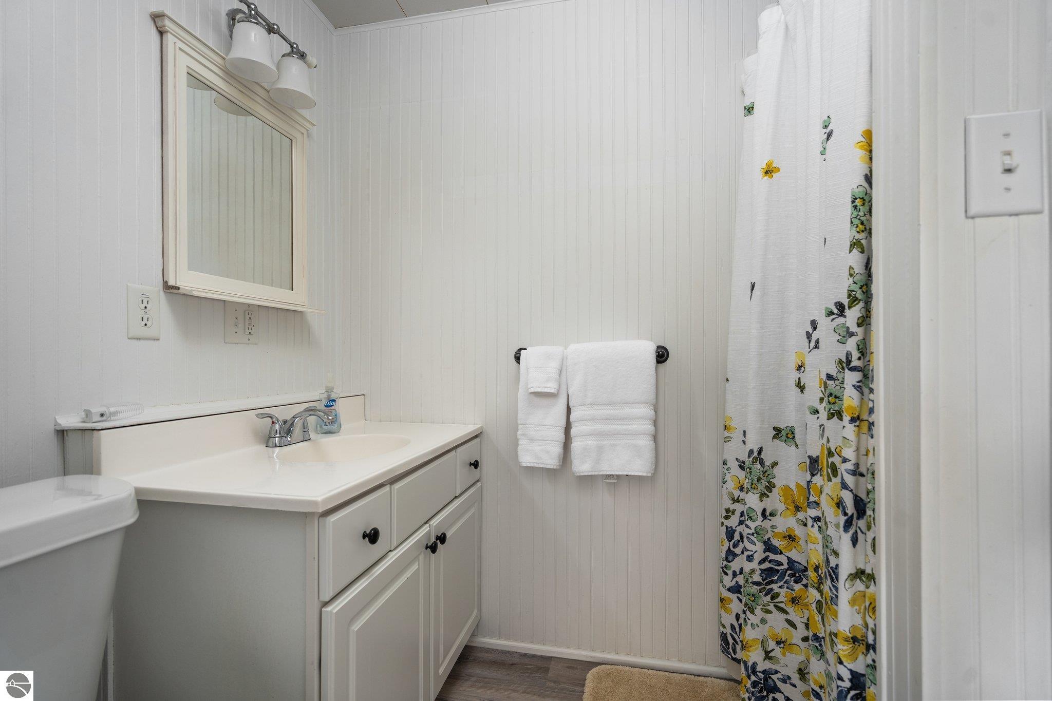 421 Howard Street Alley, Fife Lake, MI 49633 — Photo 20