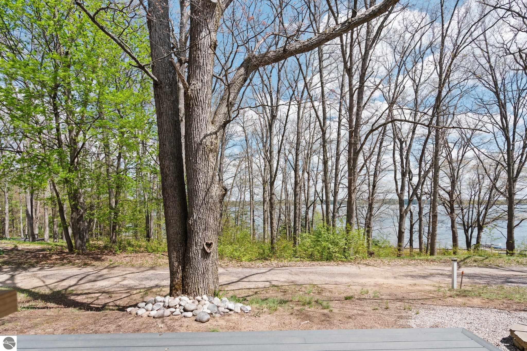 421 Howard Street Alley, Fife Lake, MI 49633 — Photo 5