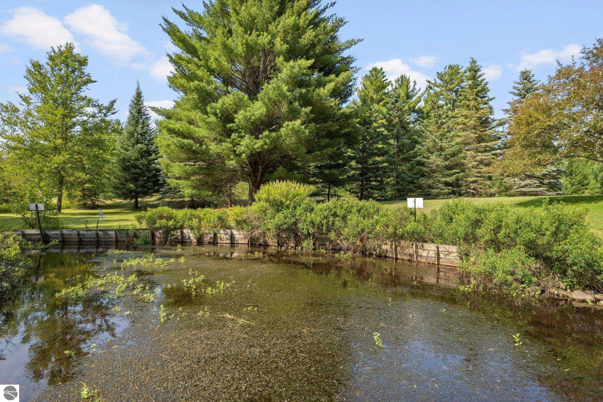 6202 Fletcher Road, Fife Lake, MI 49633 — Photo 9