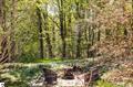 Photo 10 for MLS 1933984