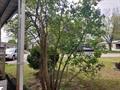 Photo 25 for MLS 1933985