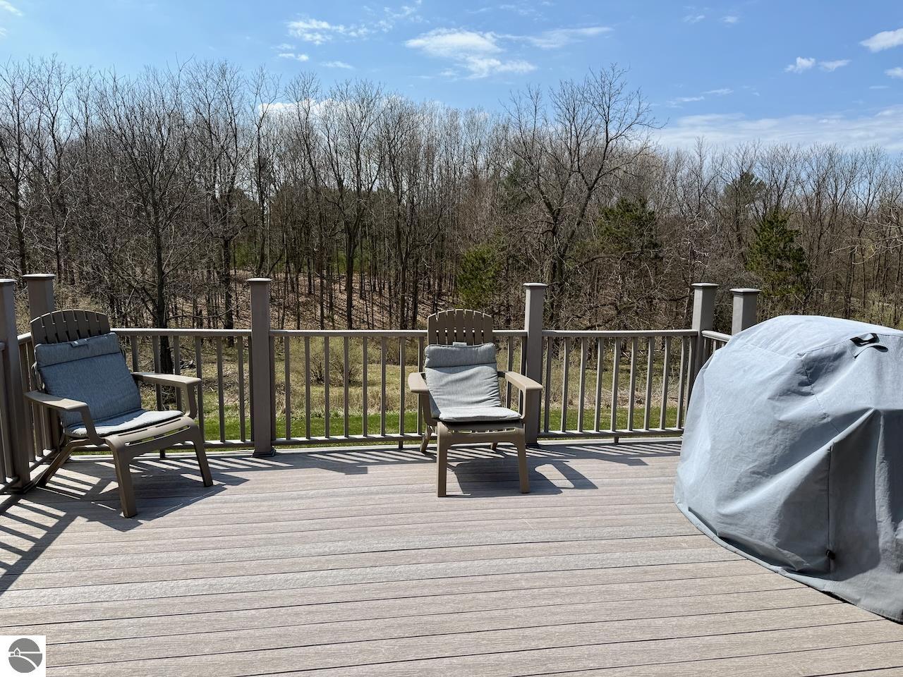 4921 White Road, Williamsburg, MI 49690 — Photo 32