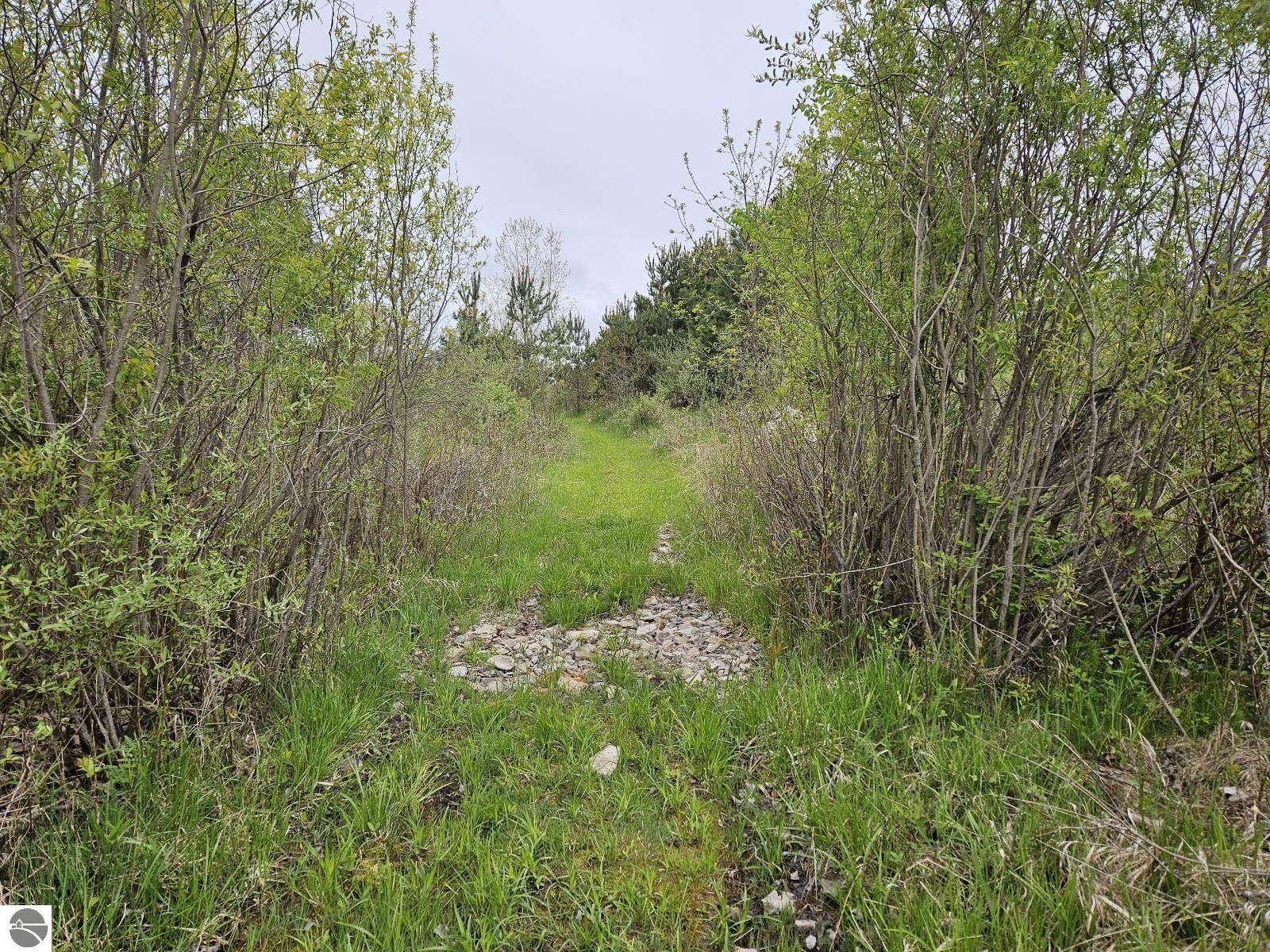630 Plank Road, Tawas City, MI 48763 — Photo 33
