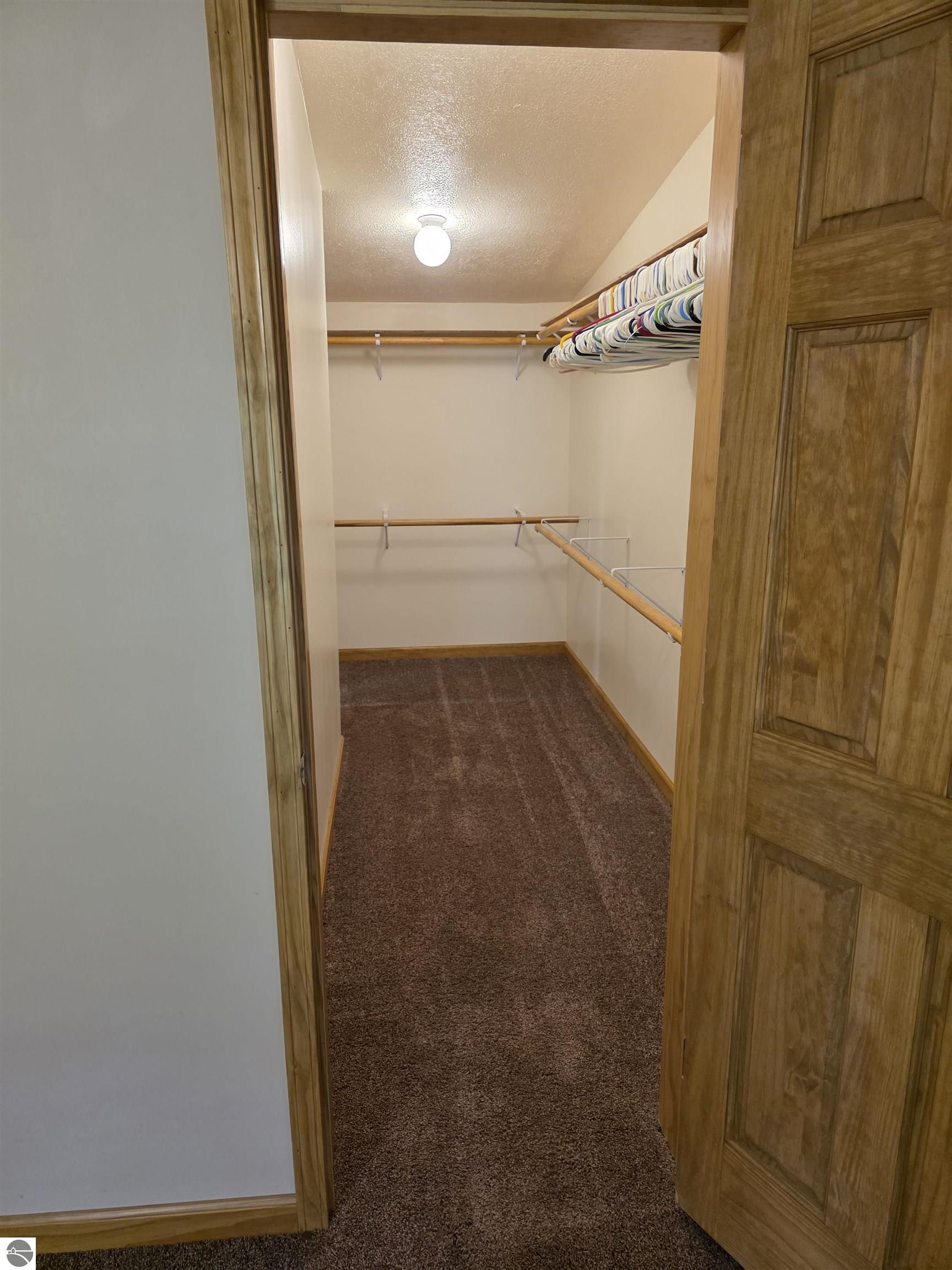 11550 S Wisner Road, Bannister, MI 48807 — Photo 11