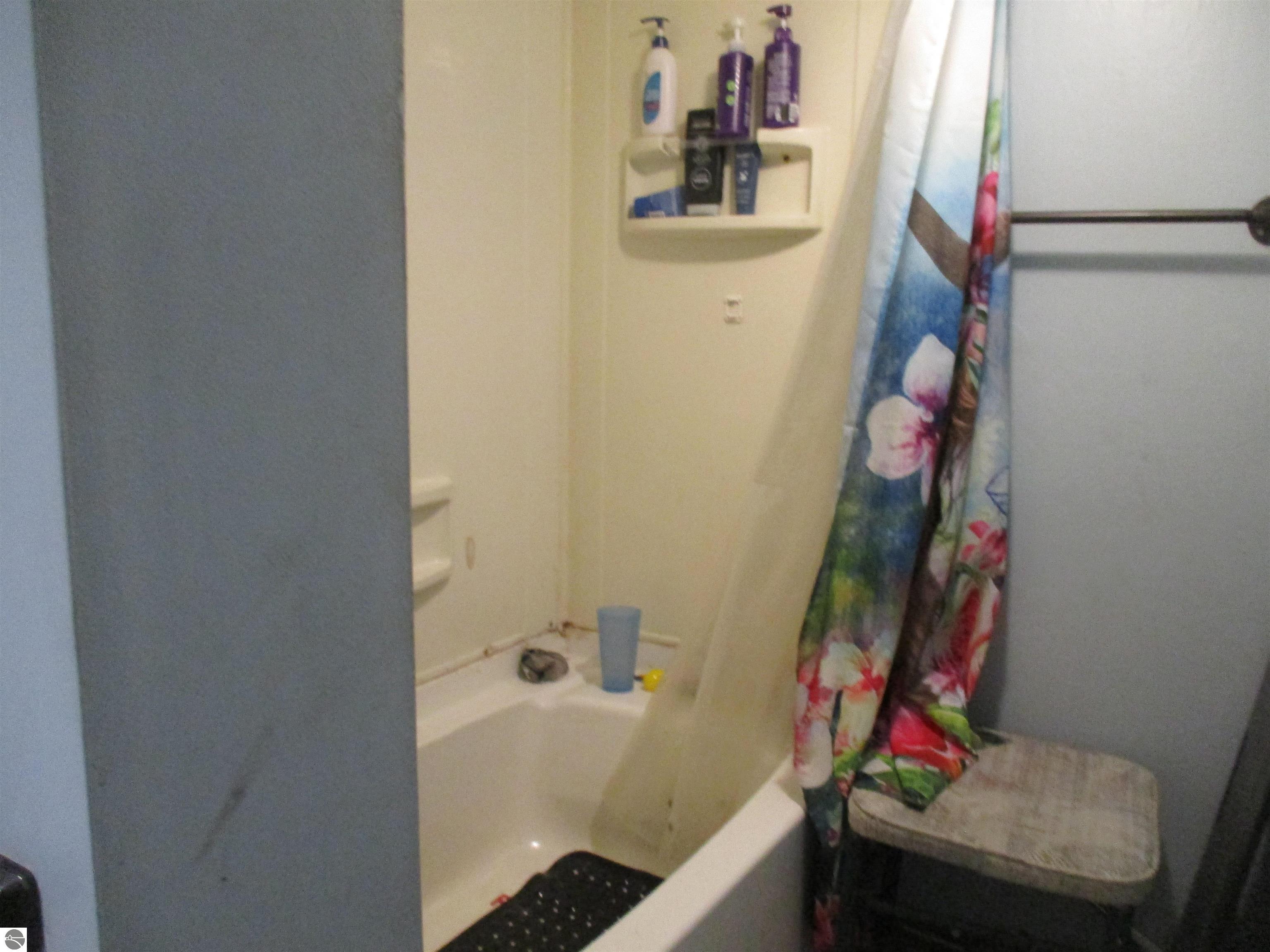 6615 Manley Drive, Riverdale, MI 48877 — Photo 11