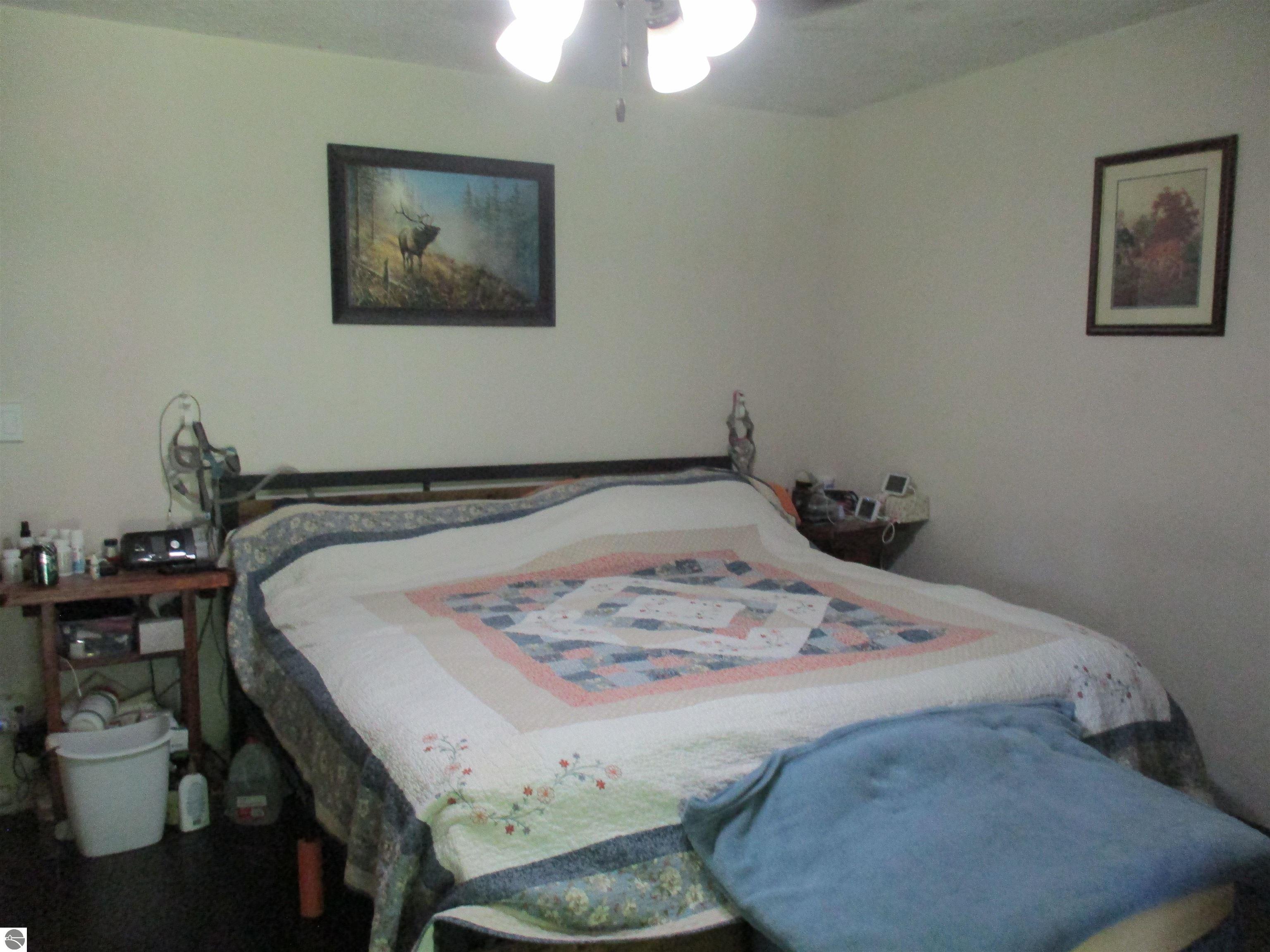 6615 Manley Drive, Riverdale, MI 48877 — Photo 6