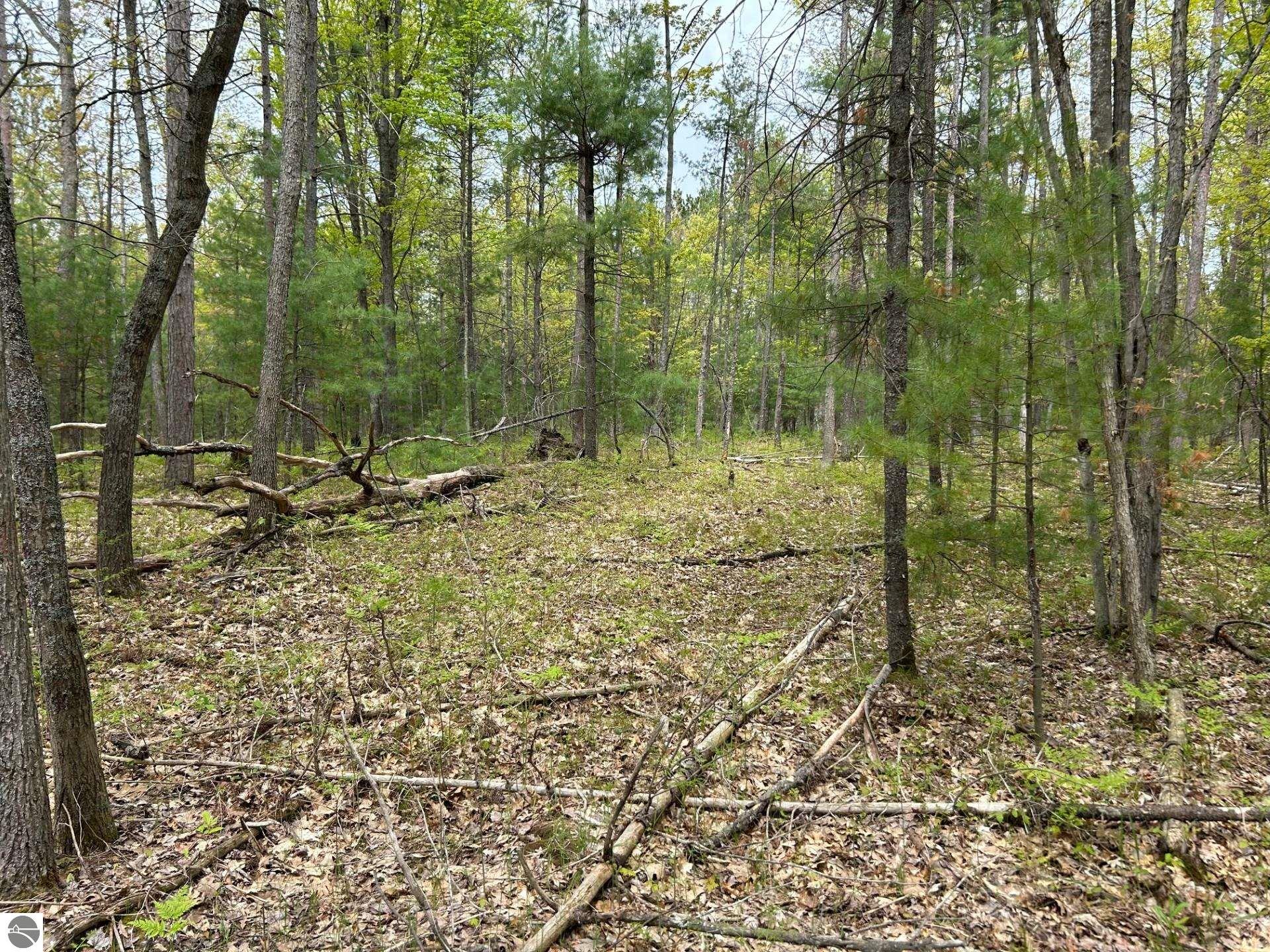 Image of property
