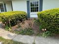 Photo 4 for MLS 1934646