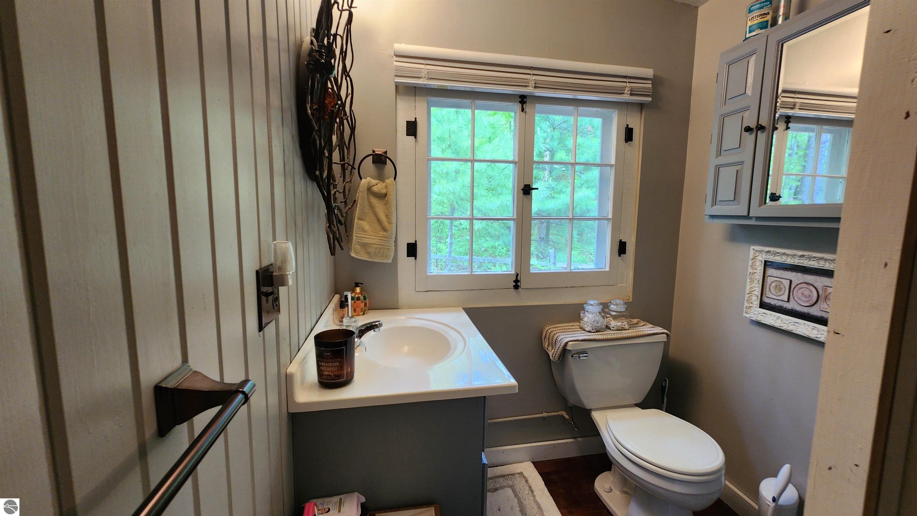 6875 Jose Lake Road, South Branch, MI 48761 — Photo 16