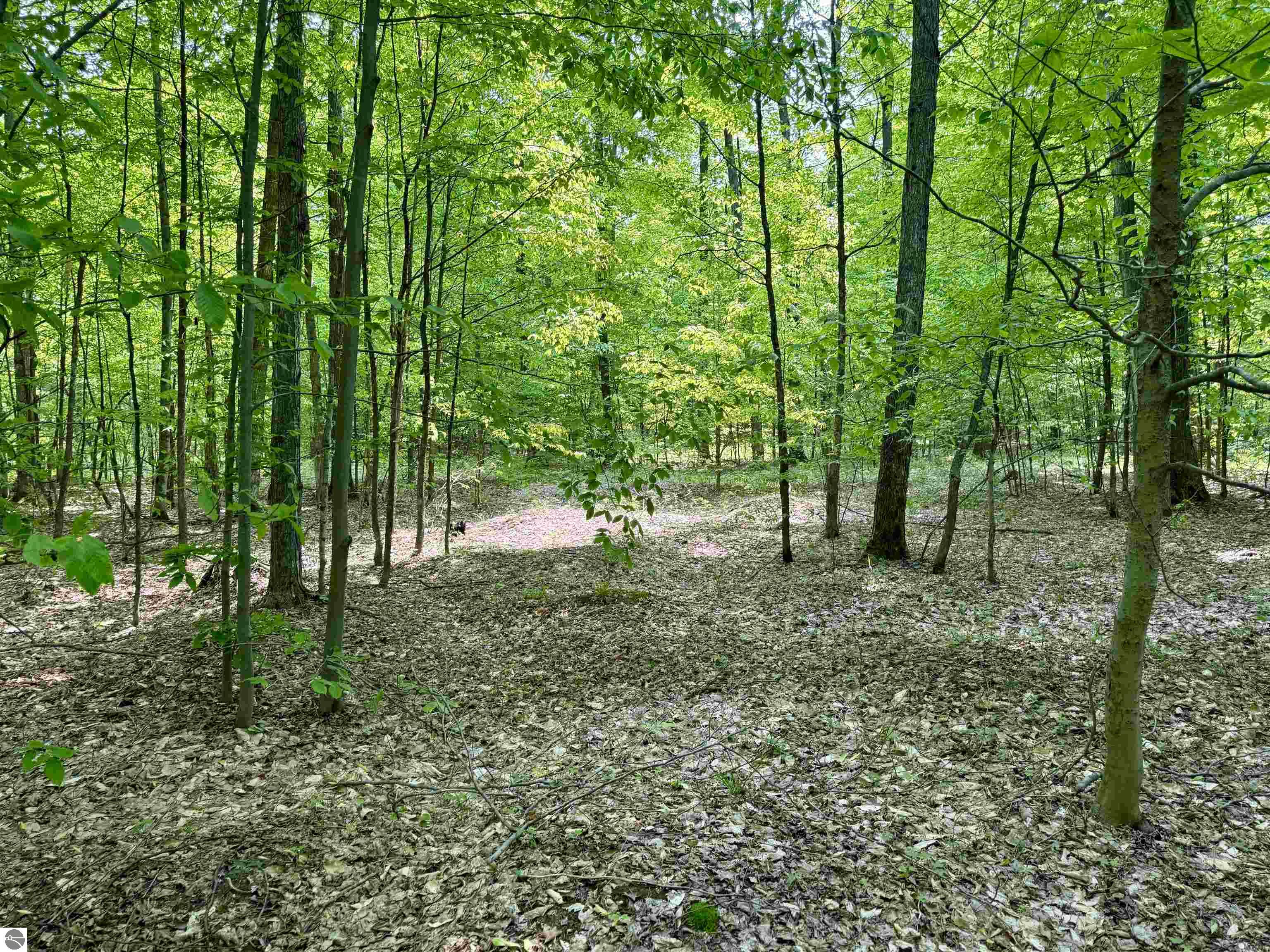 Image of property