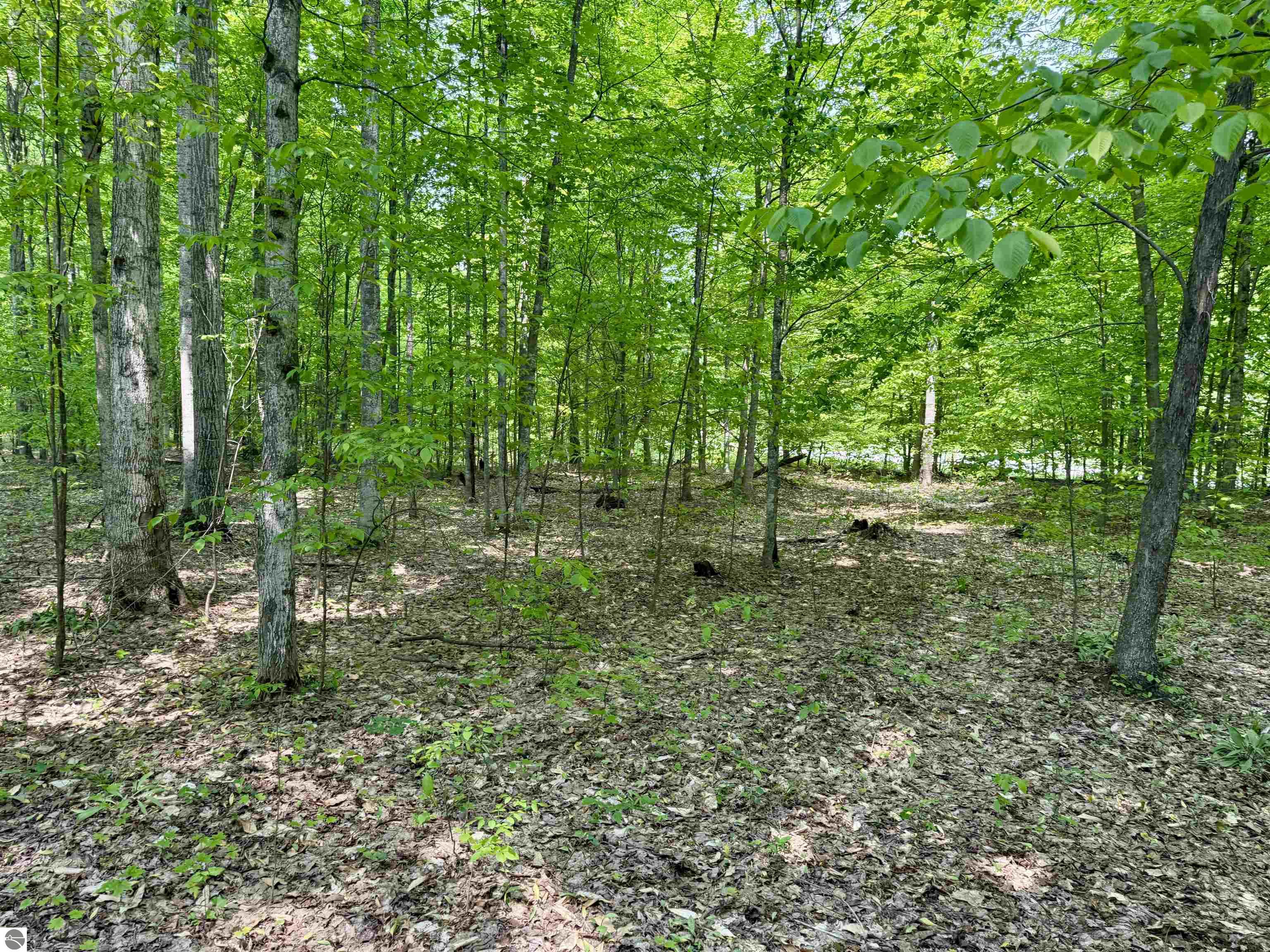 Image of property