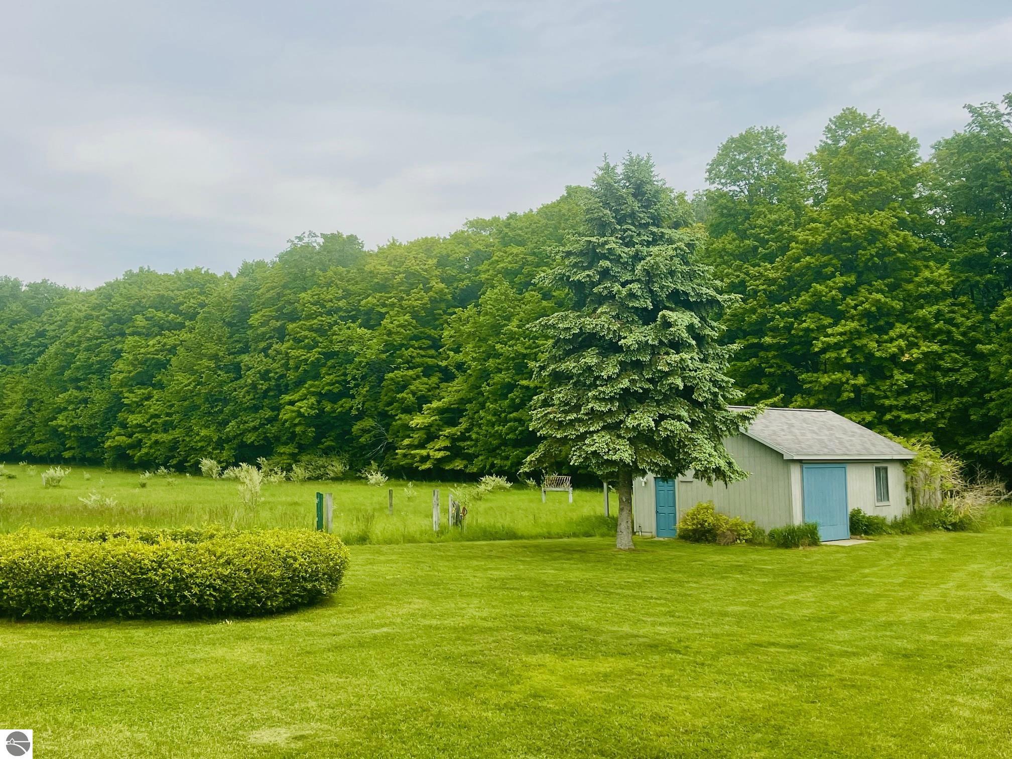 10550 Highview Lane, Central Lake, MI 49622 — Photo 8