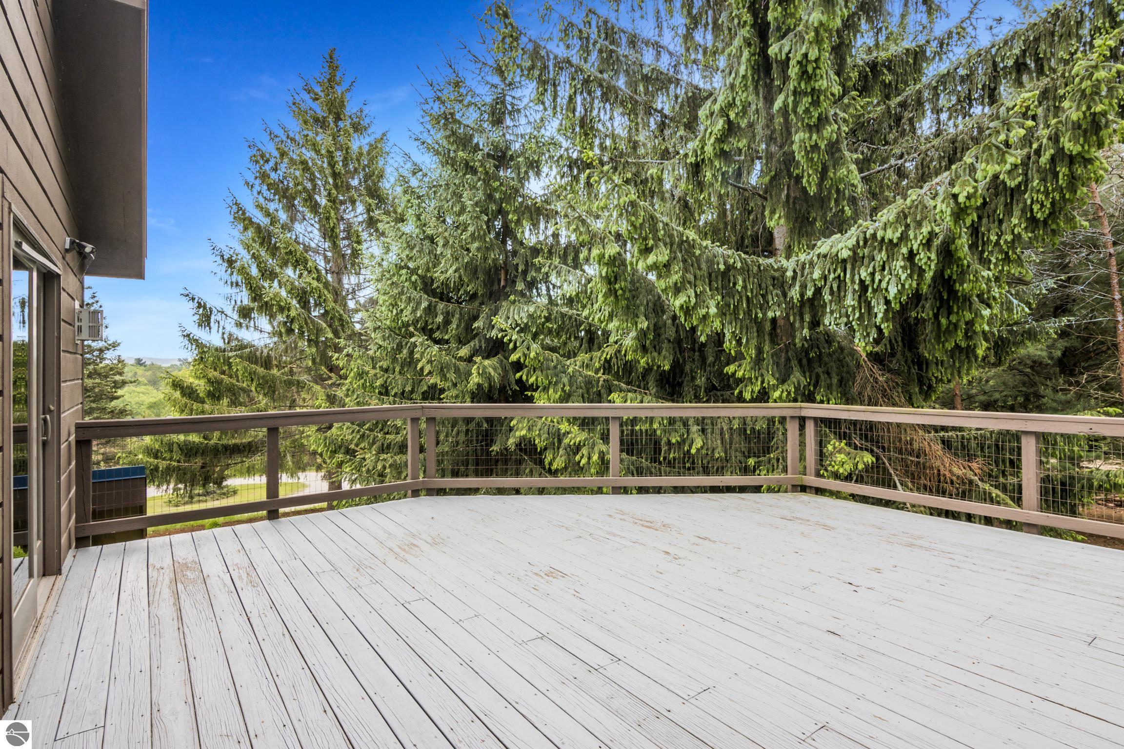 110 W Terrace Lane, Commons, Leland, MI 49654 — Photo 12