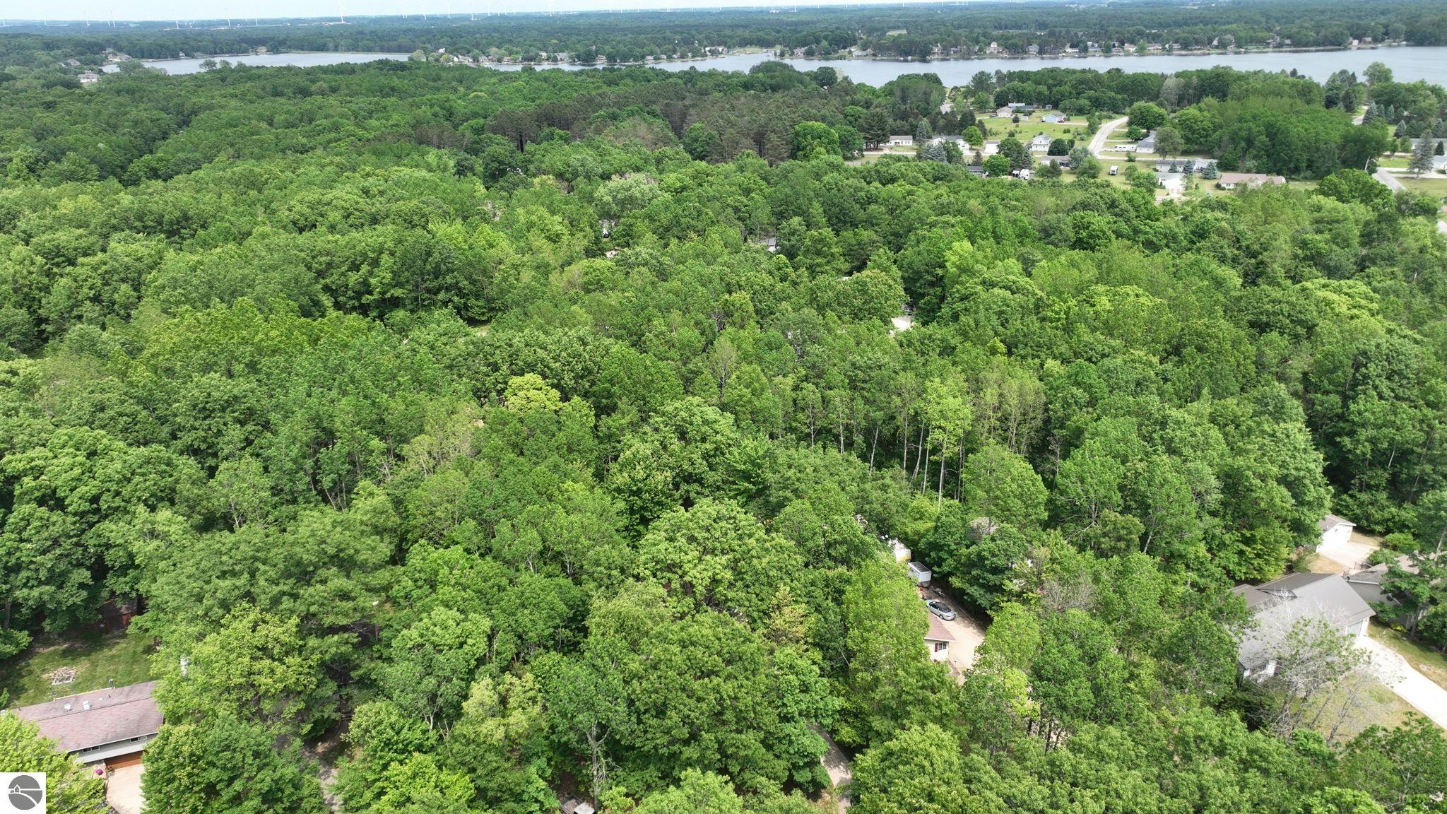 1207 Queensway Drive, Lake Isabella, MI 48893 — Photo 23