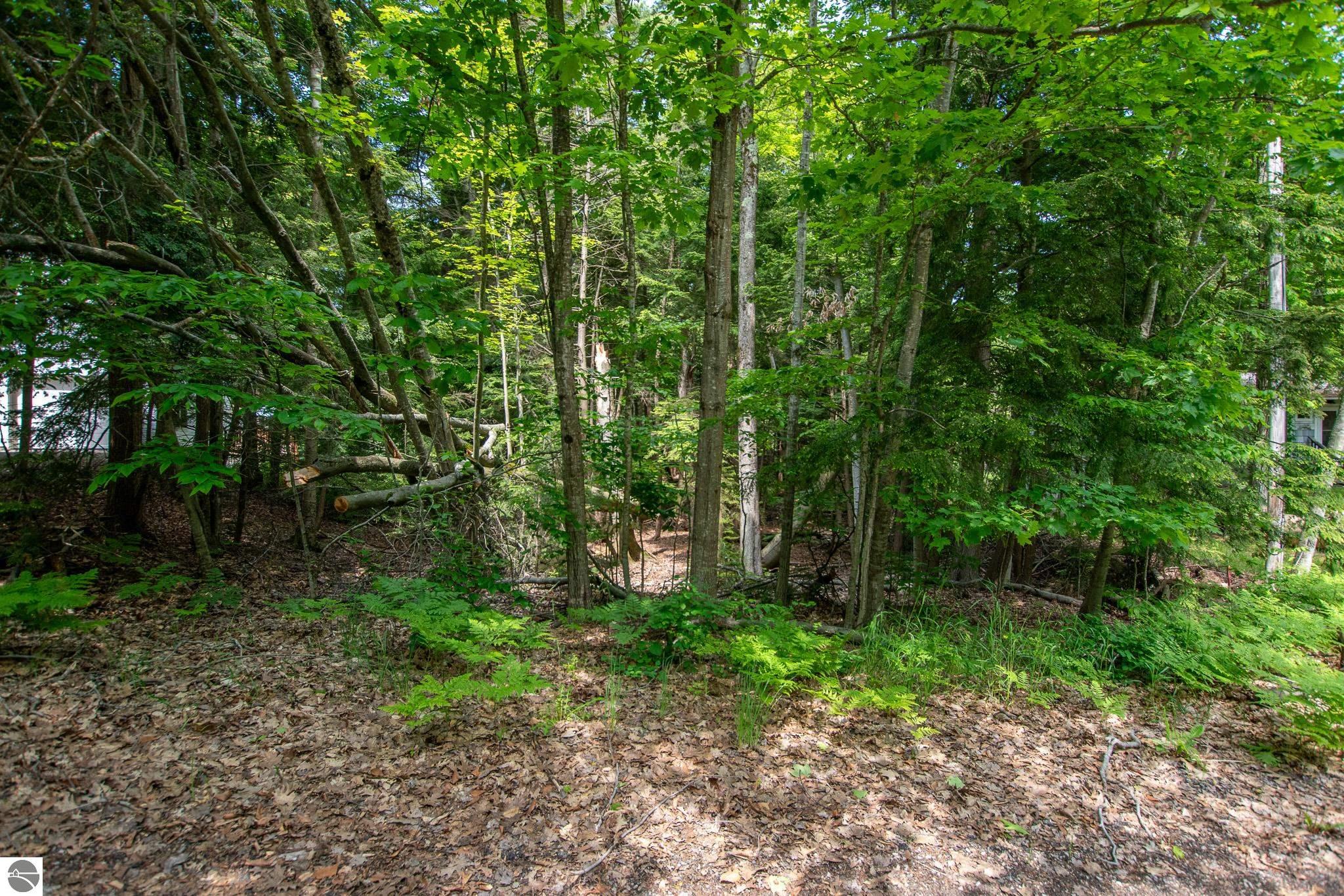 Image of property