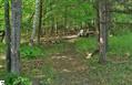 Photo 39 for MLS 1935424