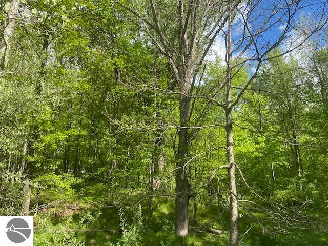 14123 30th Avenue, Remus, MI 49340 — Photo 44
