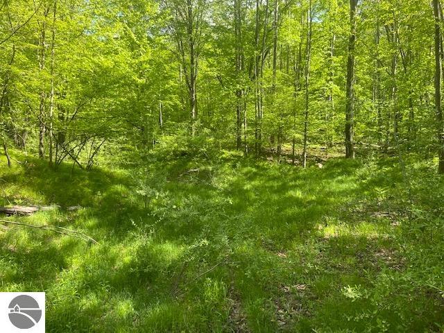 14123 30th Avenue, Remus, MI 49340 — Photo 45