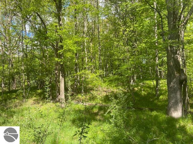14123 30th Avenue, Remus, MI 49340 — Photo 46