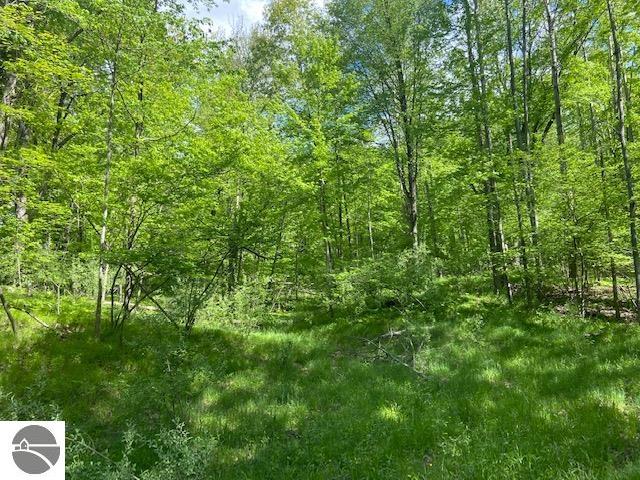 14123 30th Avenue, Remus, MI 49340 — Photo 47