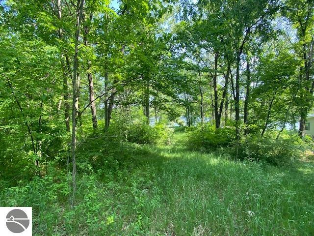 14123 30th Avenue, Remus, MI 49340 — Photo 49