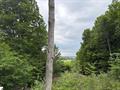 Photo 92 for MLS 1935700